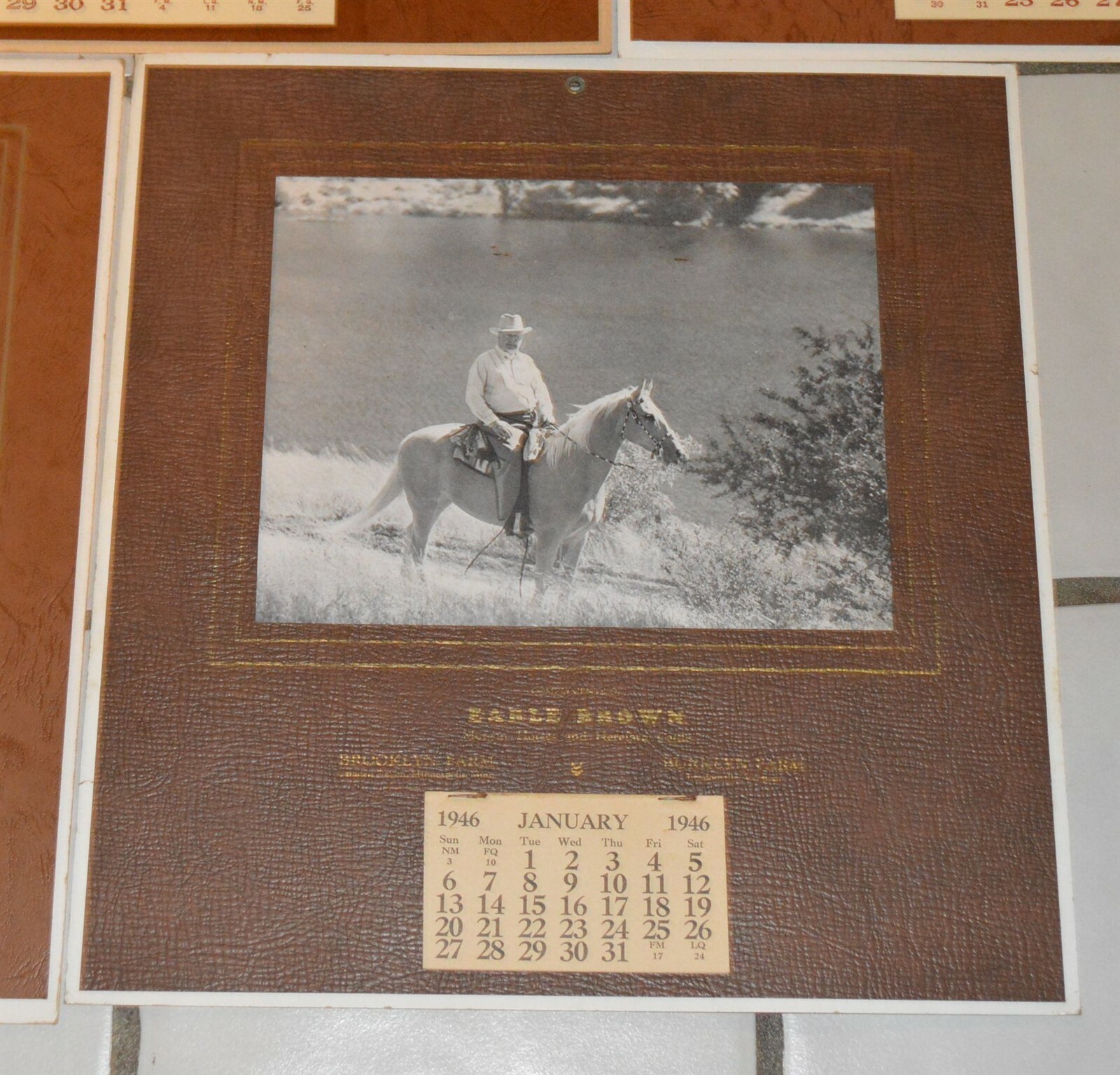 5 1946-1957 Earle Brown Calendars Camden Farms Mpls Morgan Horses