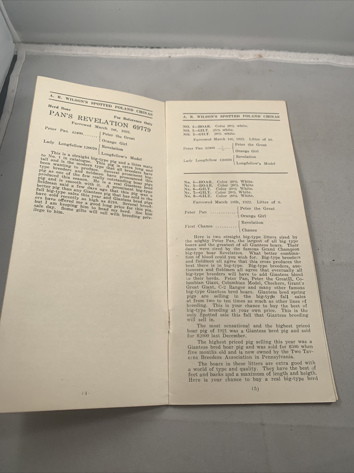 1922 Hog Sale Brochure Wilson’s Prolific Poland China Pig Farm Darlington MO