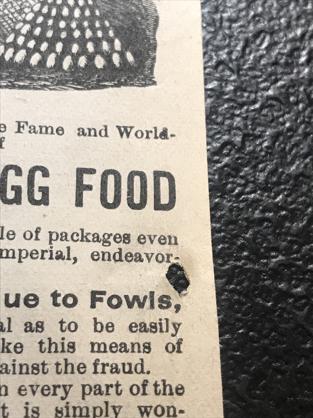 1882 Imperial Egg Food Chicken Farm Advertising – San Francisco – California