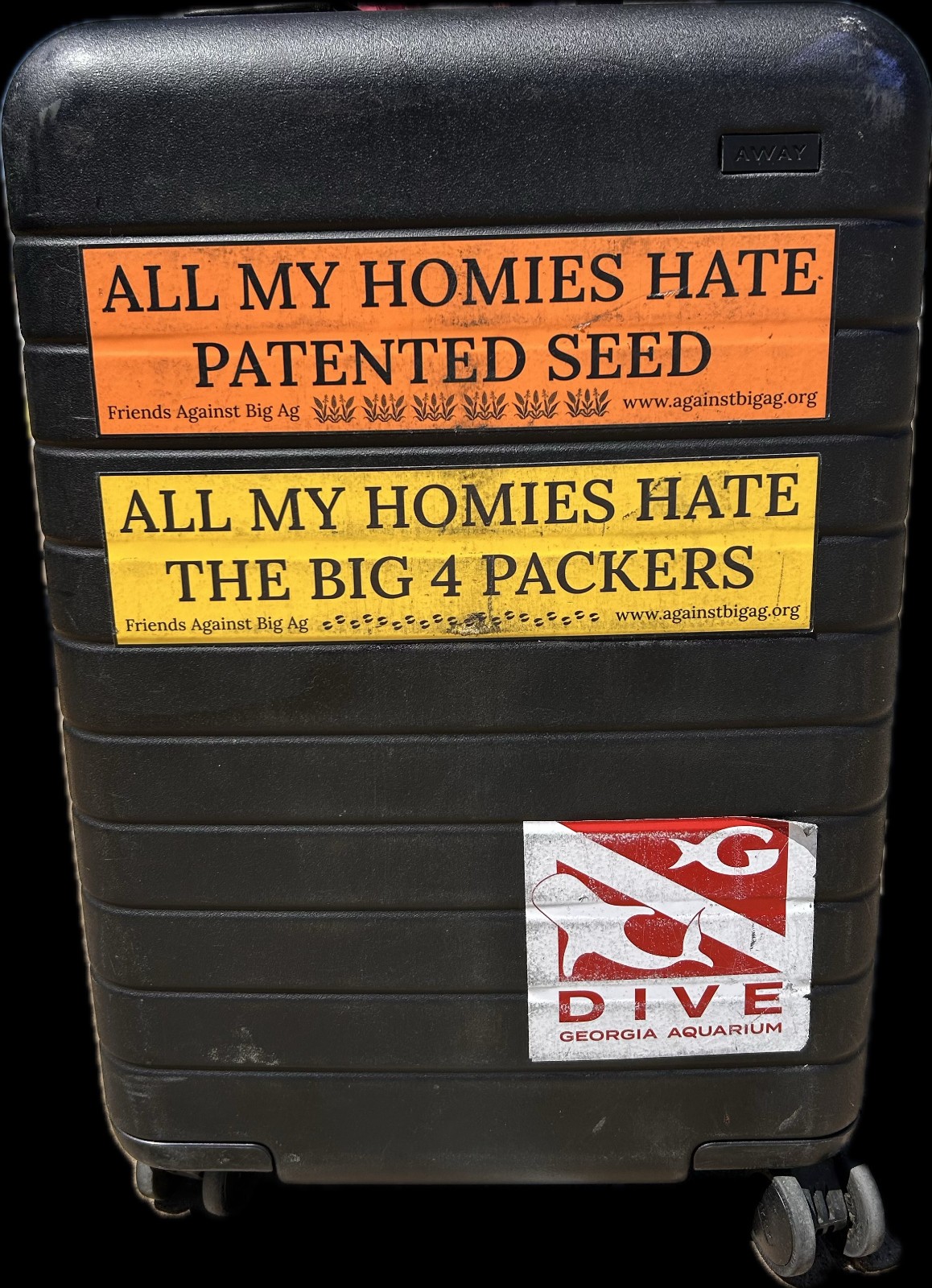 « All My Homies: The Big 4 Packers », 11.5&Prime; x 3&Prime; Yellow Vinyl Sticker
