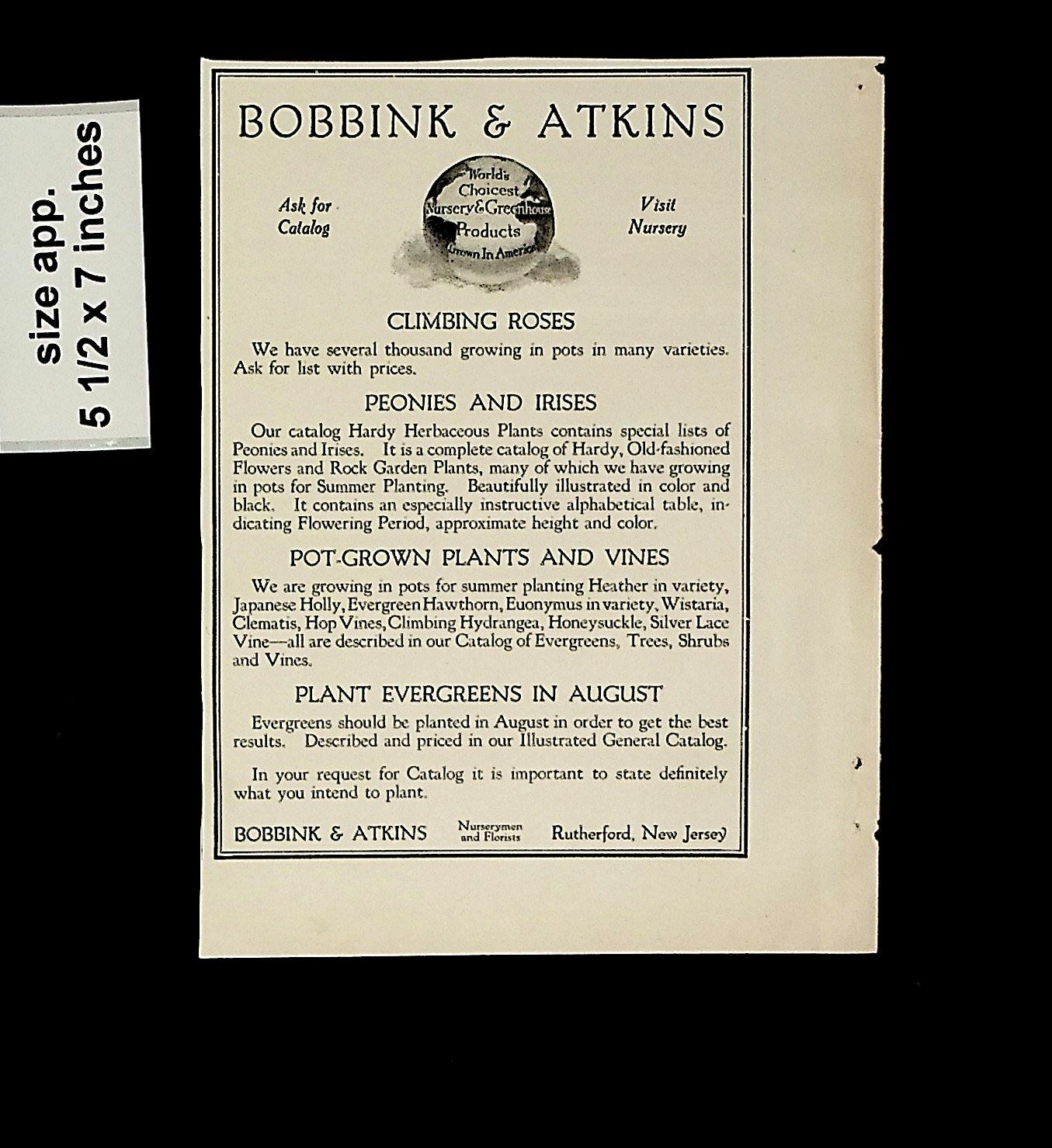 1925 Bobbink & Atkins Plants Flowers Garden Vintage Print ad 015082