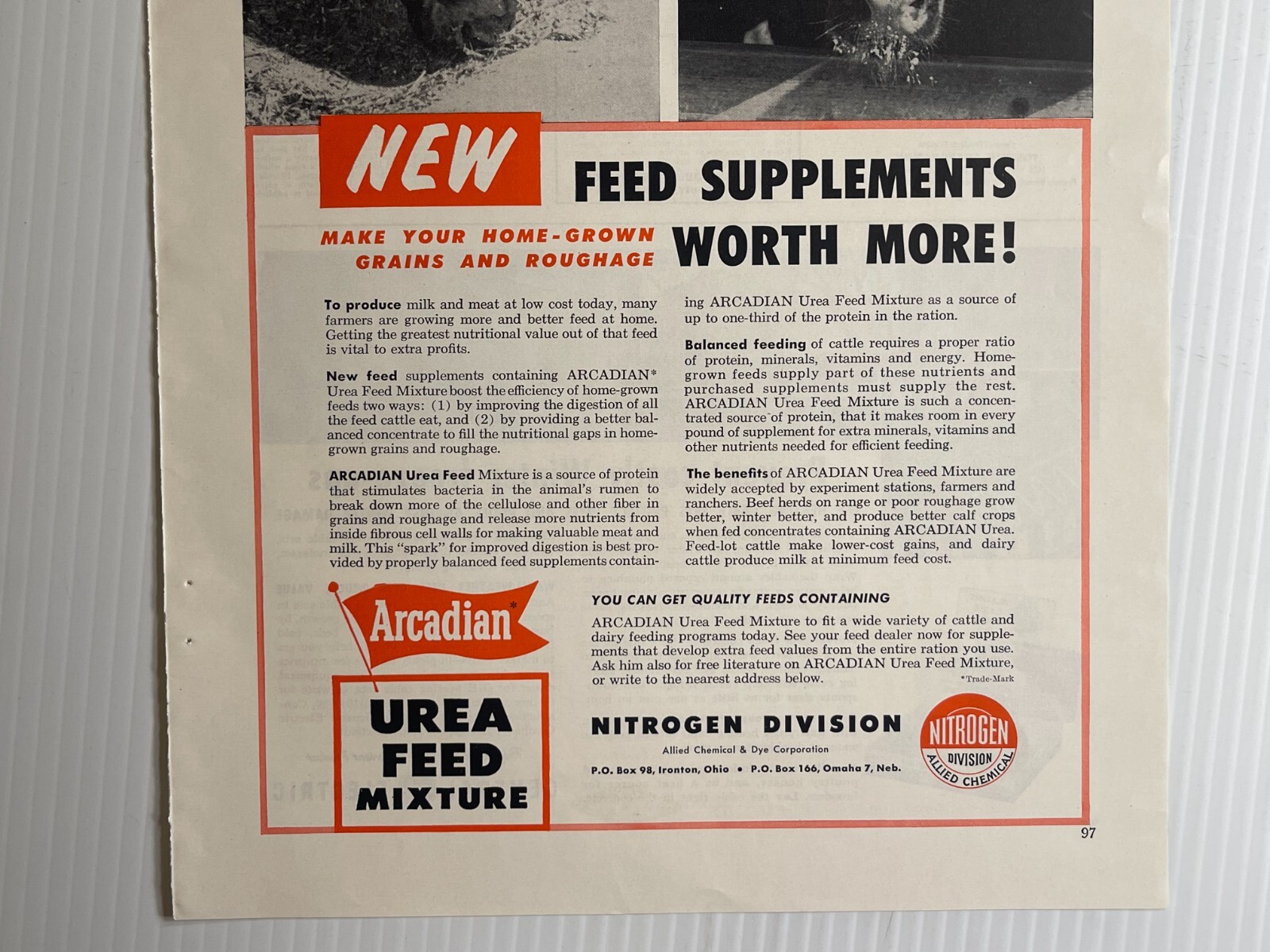 1950s Arcadian Urea Feed Mixture – Original Print Advertisement (9.5in x 13in)