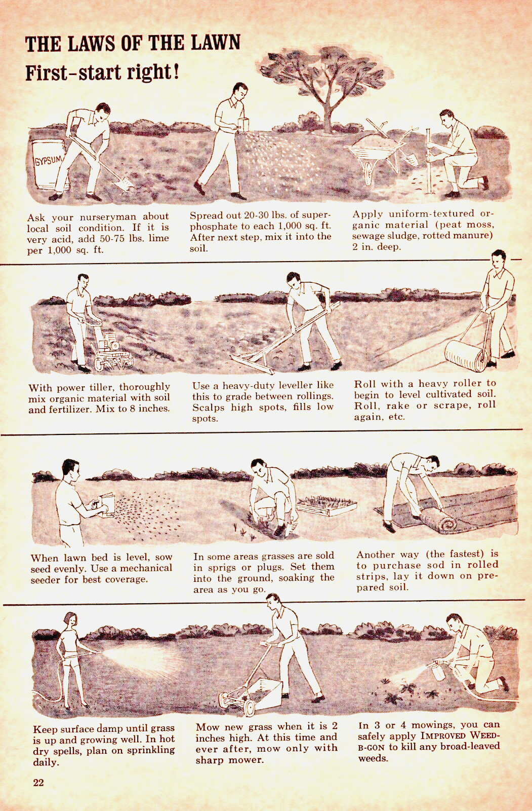 C. 50&rsquo;s 3 PAGE Ortho Lawn ~ Vintage Print Ad~ The Laws OF The Lawn~ Lawn Sprayer