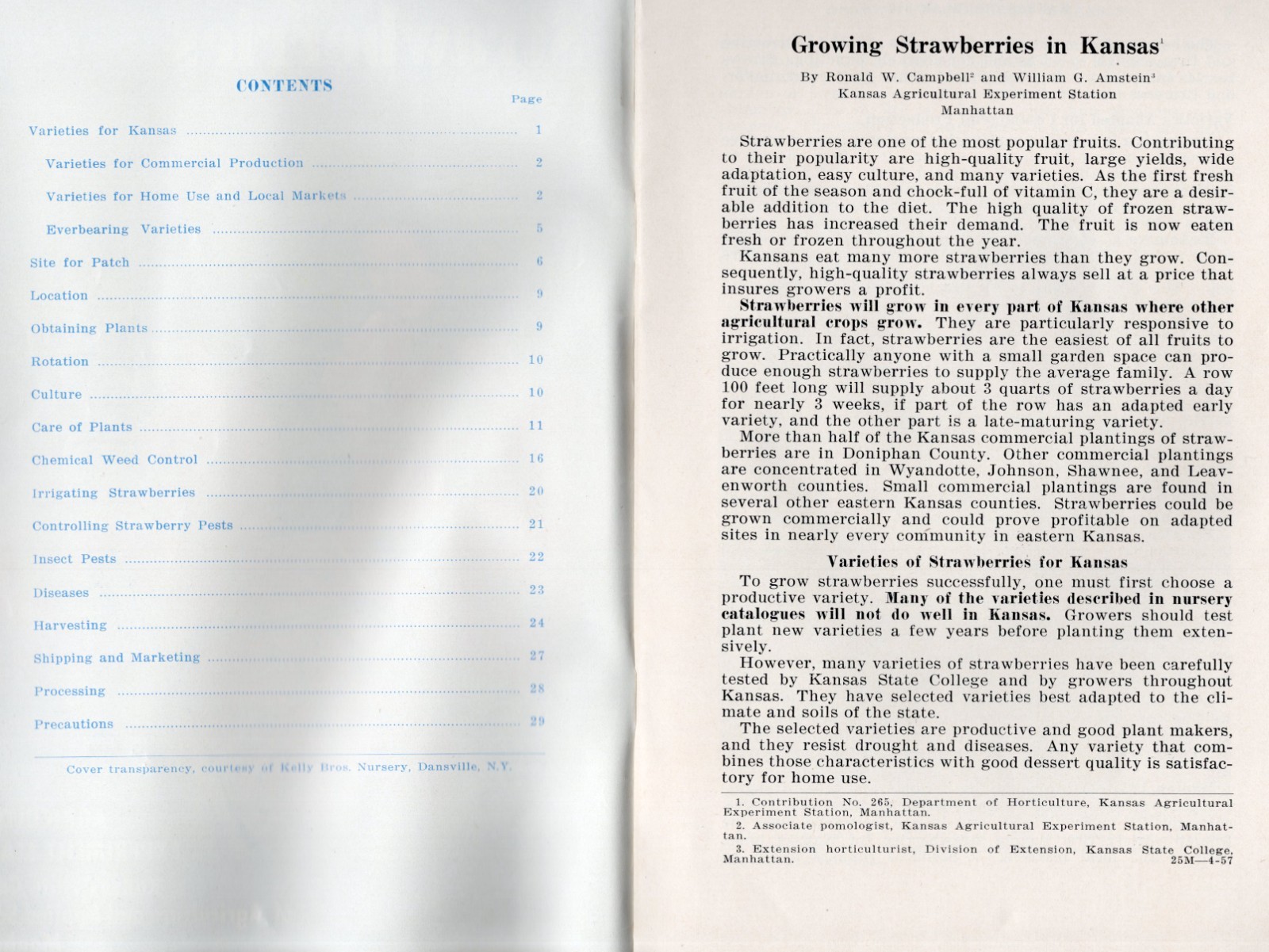 1950s – Growing Strawberries in Kansas Agricultural Experiment Station – XL4A
