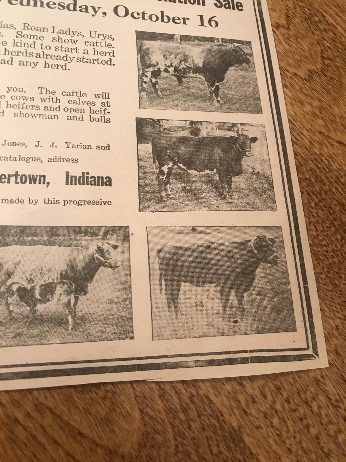 1918 Cattle Livestock Public Sale – Huntertown – Indiana – Cow Advertising