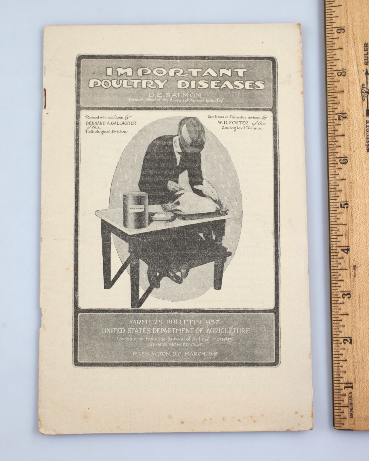 Vintage 1918 USDA Farmer&rsquo;s Bulletin Important Poultry Diseases Booklet Chickens