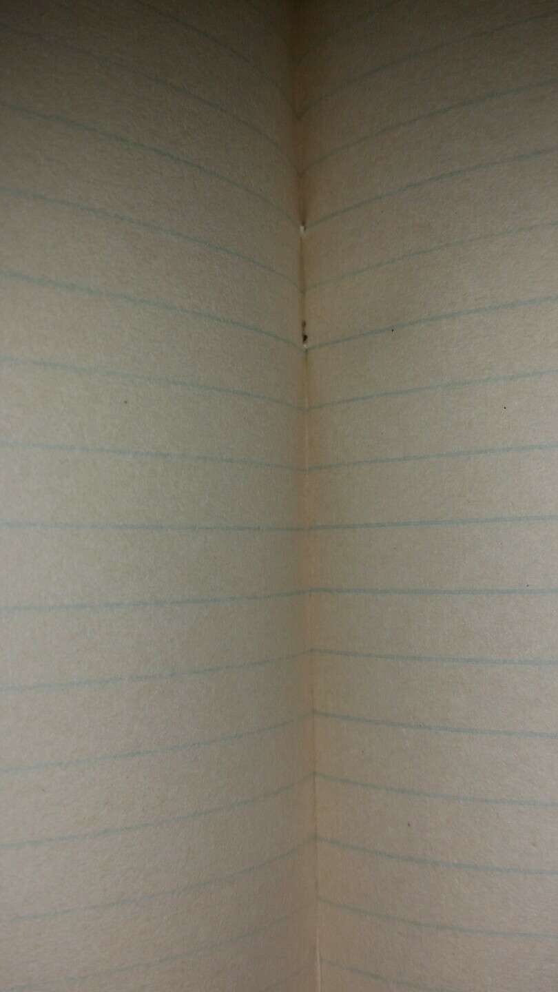 The Baugh & Sons Company Advertising Notebook Baltimore Md