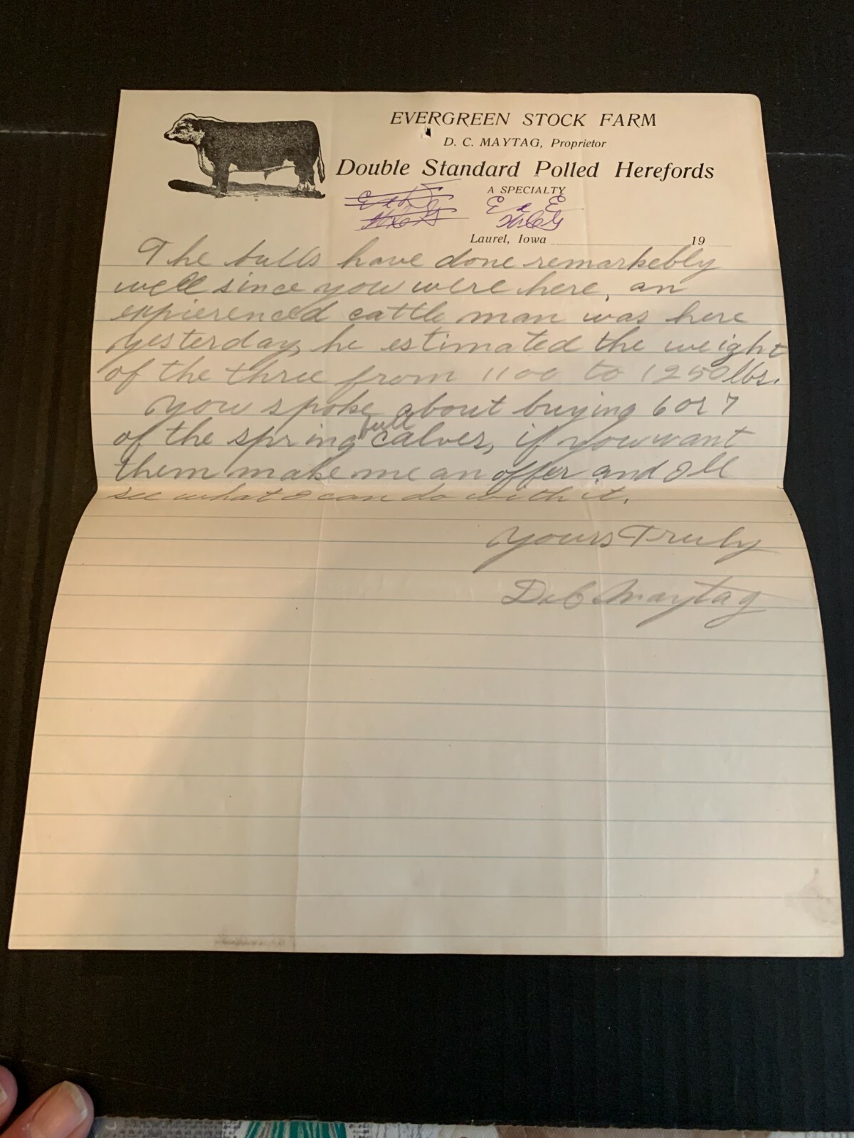 1910 Evergreen Stock Farms Polled Herefords Letterhead Laurel Iowa