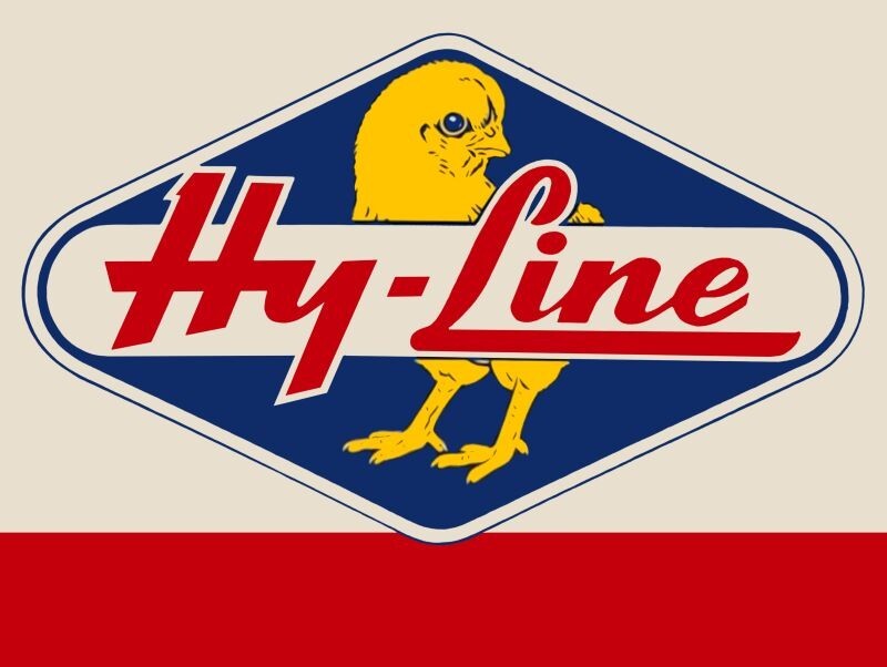 Hy-Line Chicks, Chickens NEW Metal Sign 24×30&Prime; USA STEEL XL Size 7 lbs