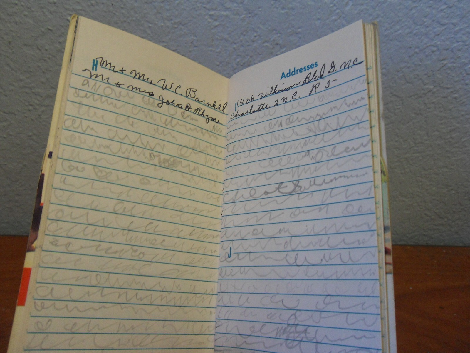 1949 -50 Swift’s Plant Food Service Red Steer Notebook Pocket Book Used