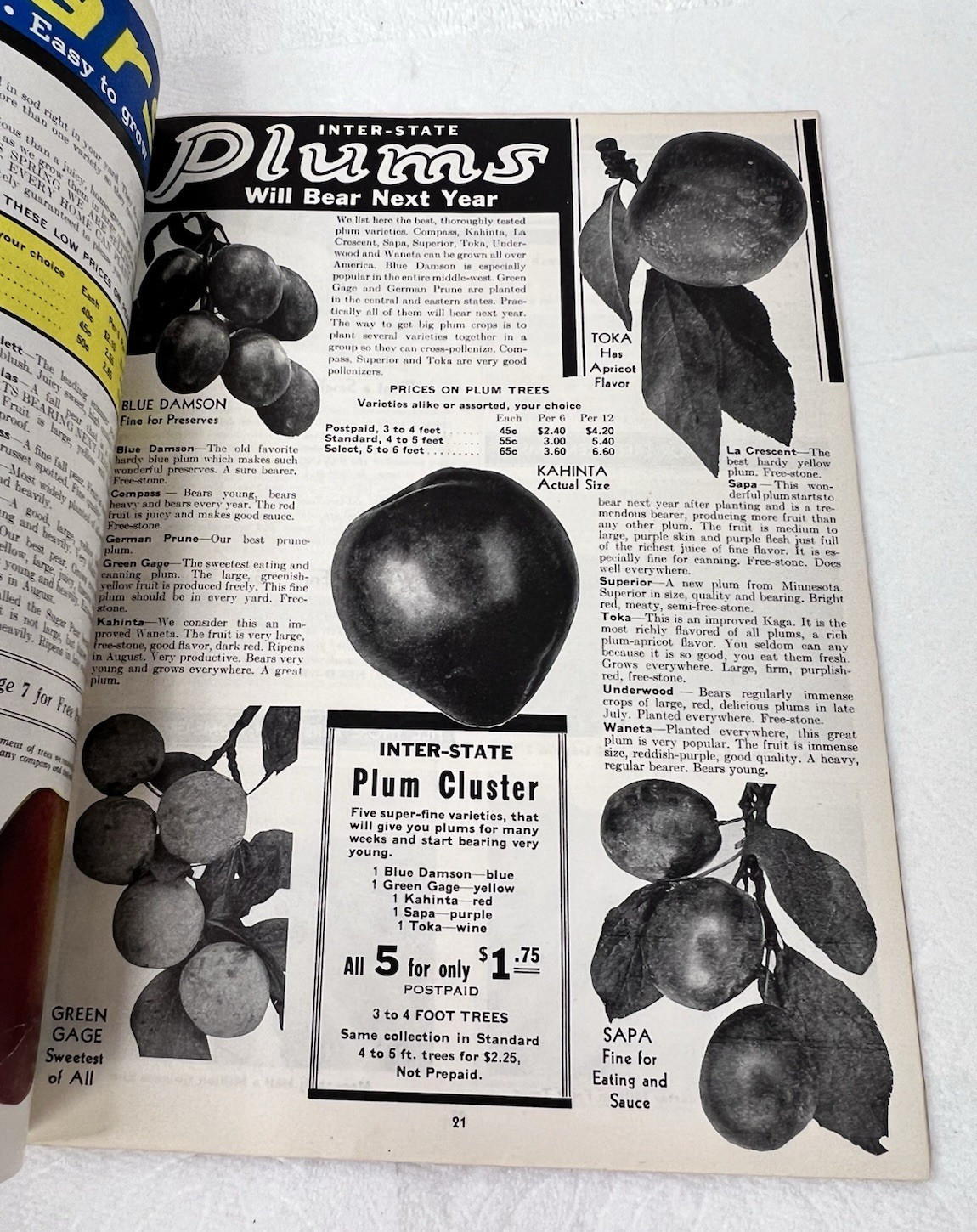1938 Inter-State Nurseries Catalog 28 Color Pages Fruits Flowers Vegetables OHIO