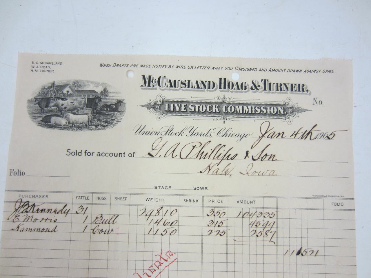 1905 McCAUSLAND HOAG & TURNER Livestock Commission Billhead Iowa Cattle