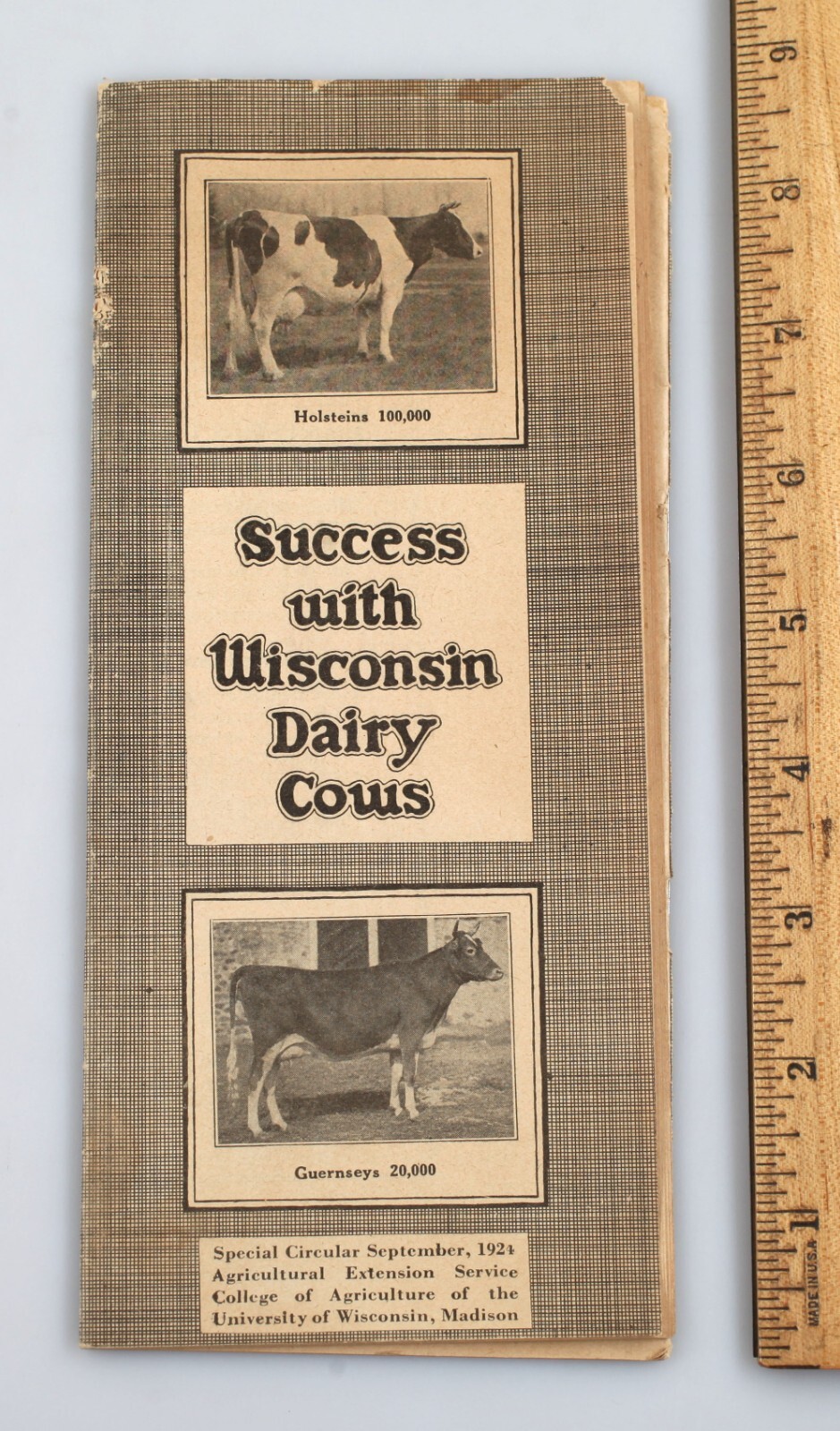 1924 Success With Dairy Cows Booklet Wisconsin College of Agriculture Extension