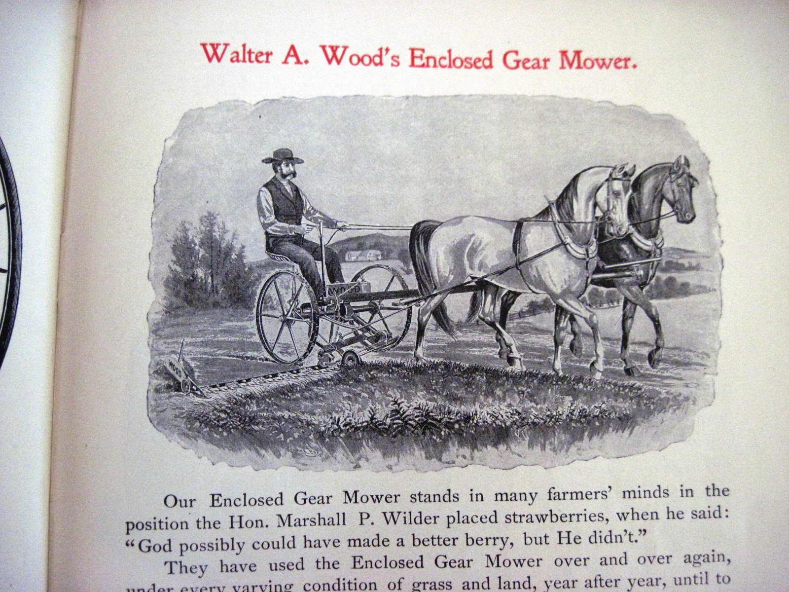 Stunning 1895 « Walter A. Wood » Mowing & Reaping Farm Machine Co.Catalog *