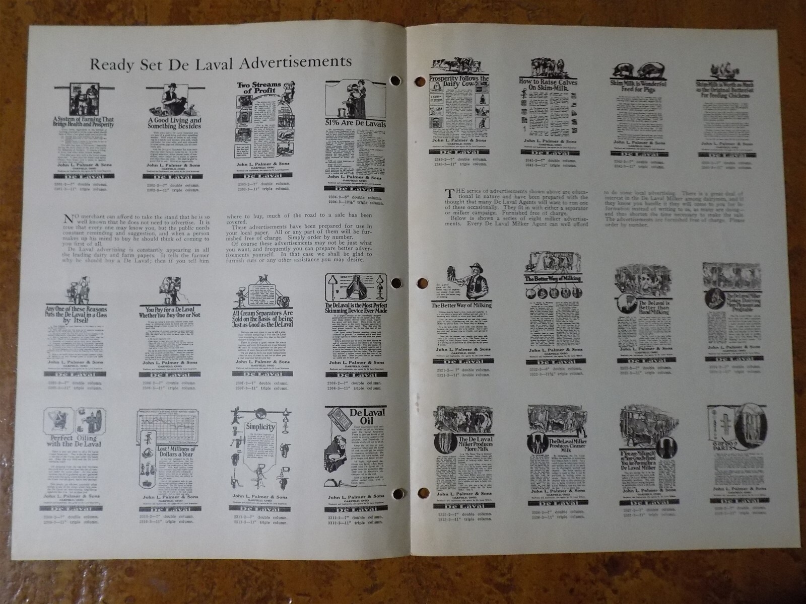De Laval Separator Advertisements Brochure Pamphlet c.1920s