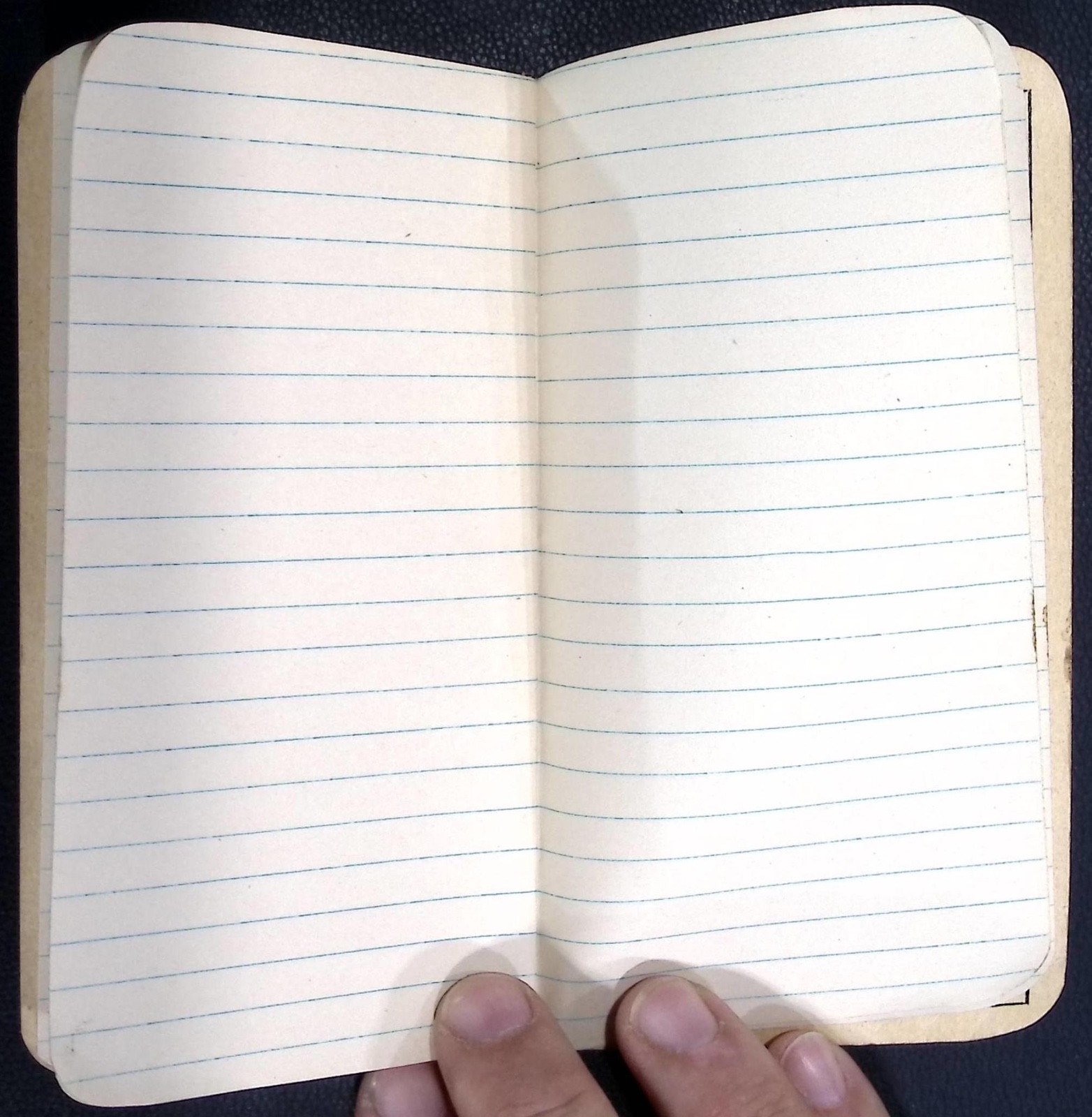 Antique Baugh & Sons Fertilizer Advertising Notebook Baltimore Maryland 1910s