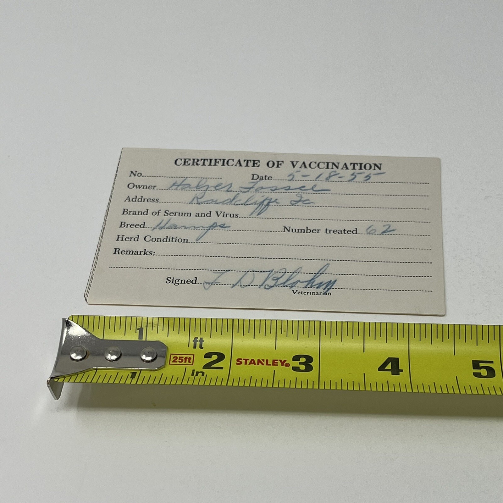 1955 Certificate Of Vaccination Radcliff IA Receipt For 62 Hamps Hampshire Cows