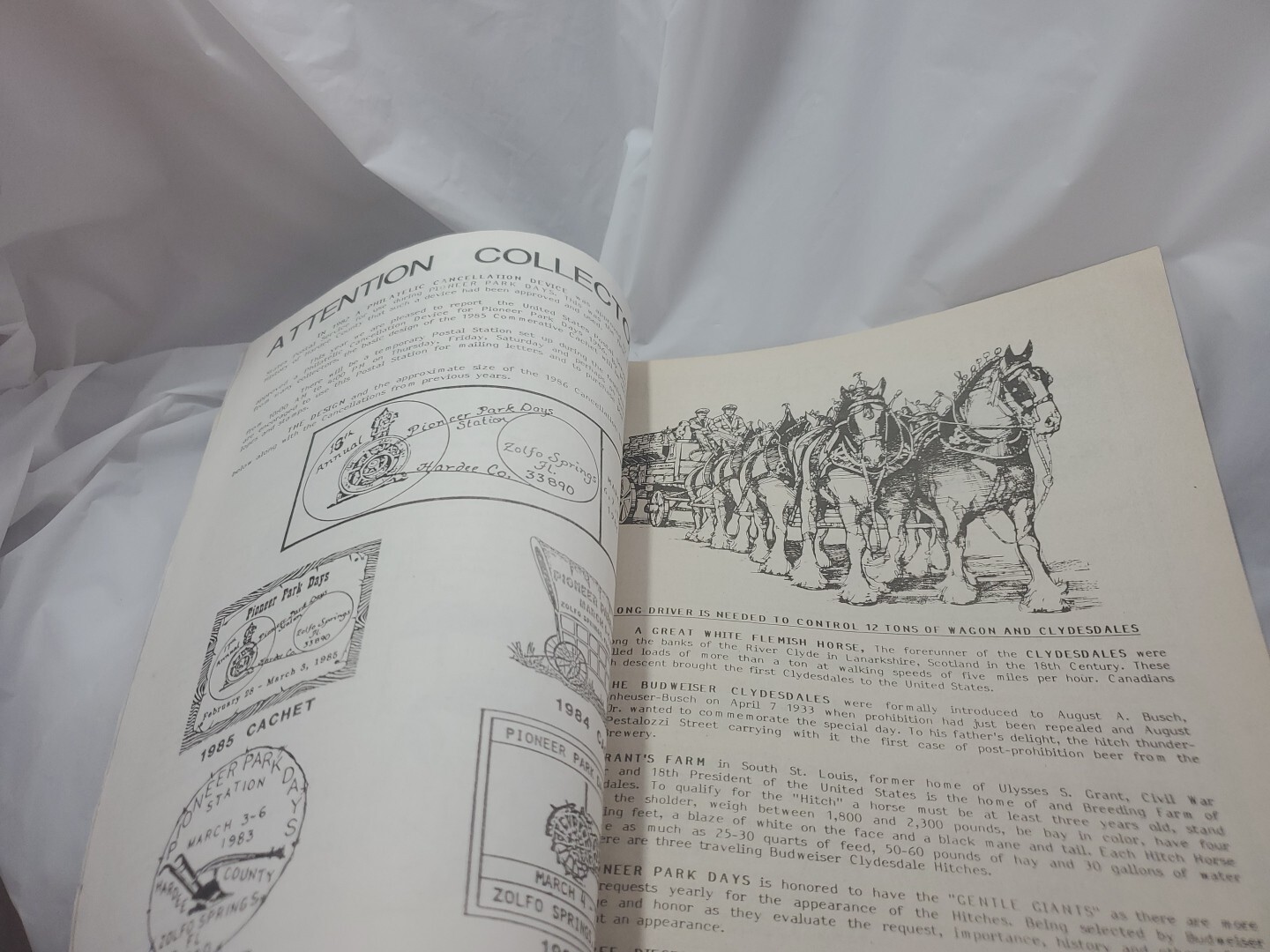 Pioneer Park Show Souvenir Program Zalfo Springs Florida 1986- Area Advertising