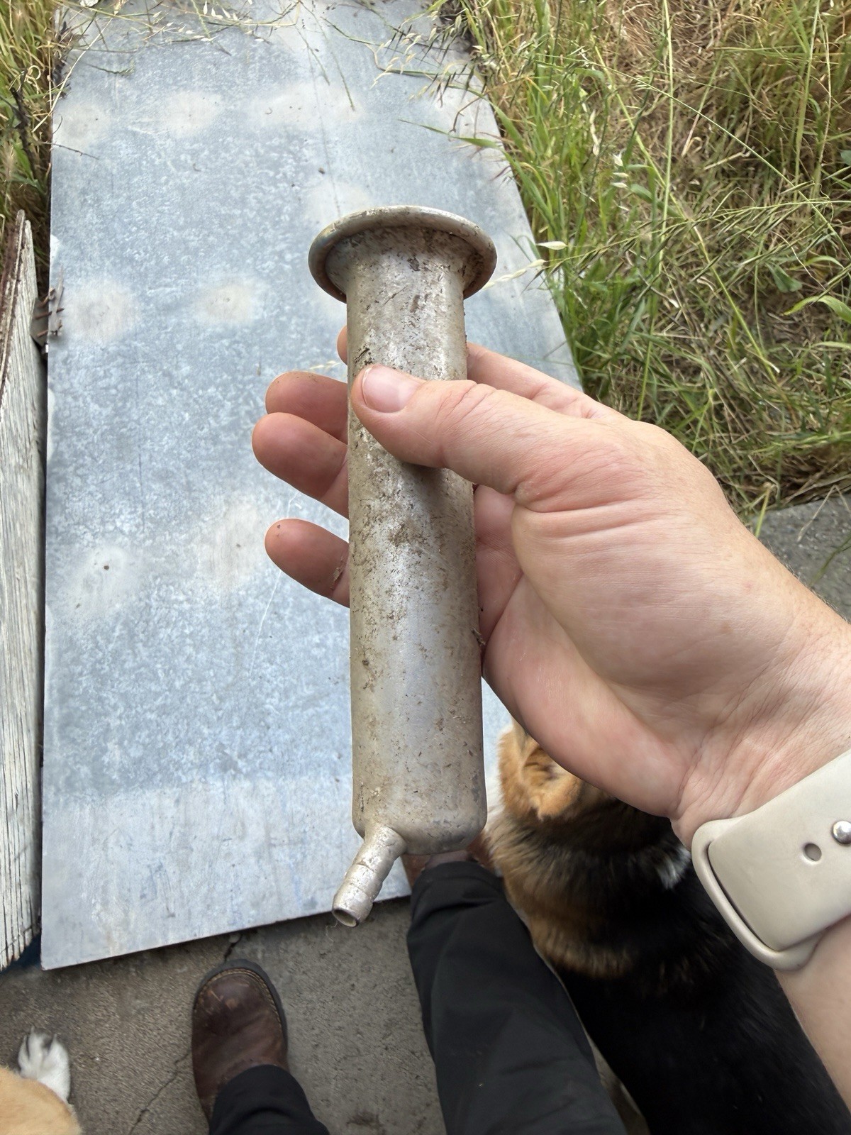 21 Teat cup shells for cow stainless steel