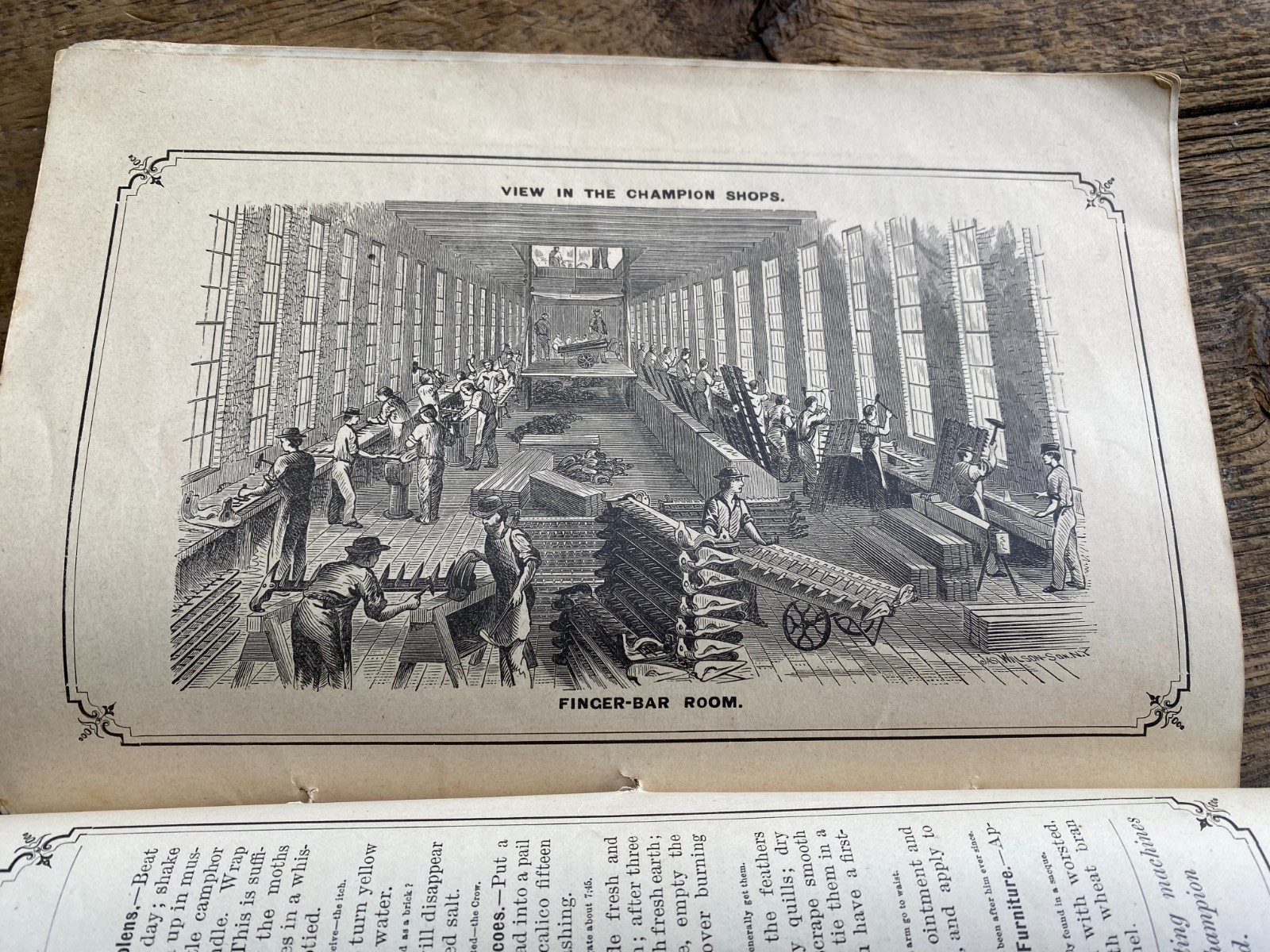 ORIGINAL CHAMPION HORSE DRAWN HARVESTING MACHINES HANDBOOK FOR FARMERS 1882