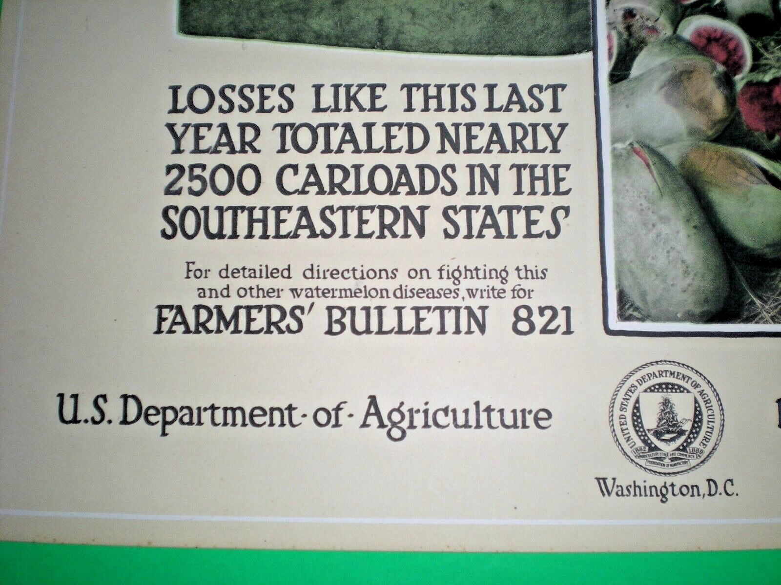 c1918 USDA Bureau of Plant Industry POSTER ~ TREAT WATERMELON STEMS ~ STOP ROT