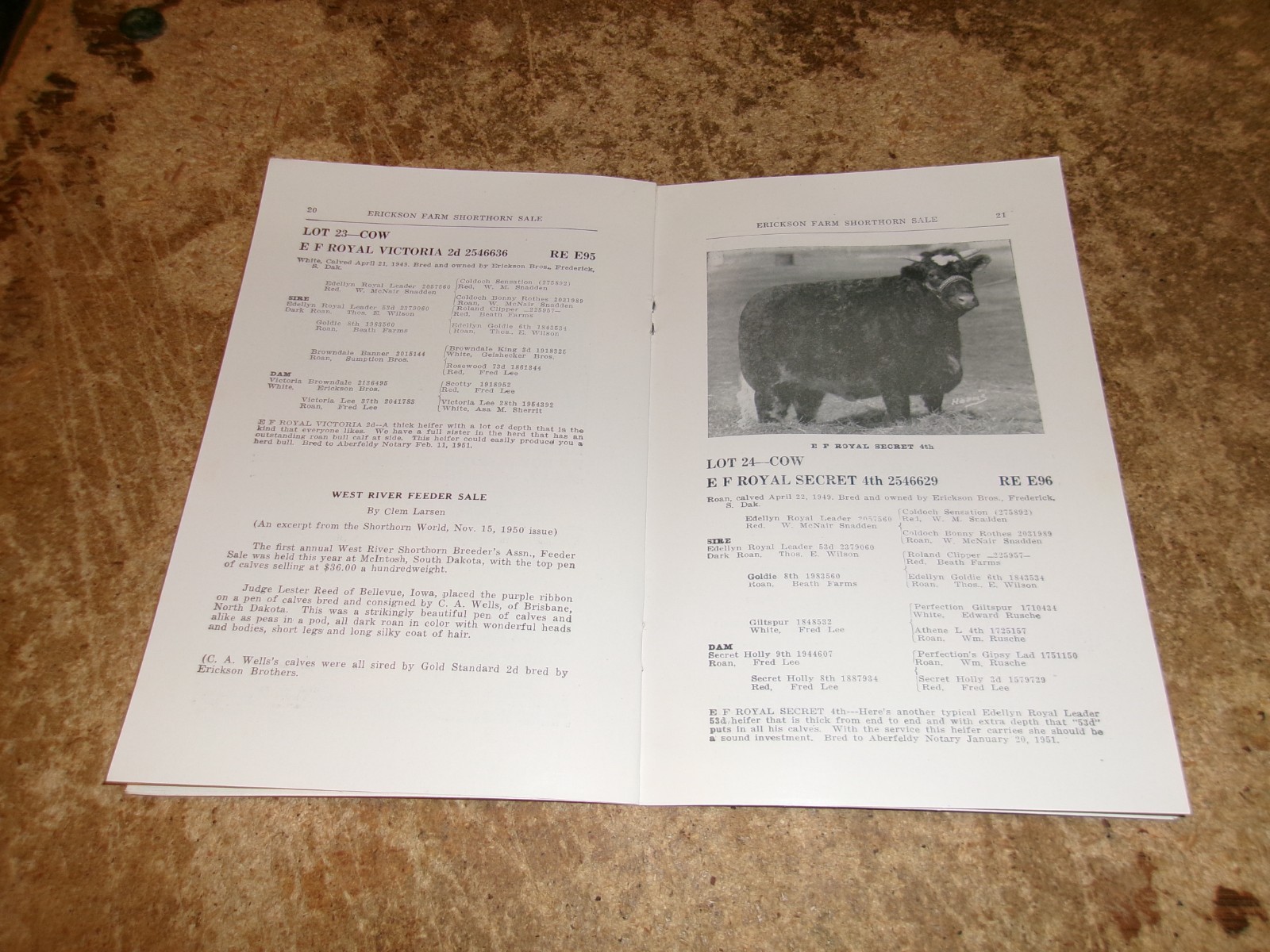 1951 june 18 erickson farm frederick,sd shorthorn cattle sale booklet good used