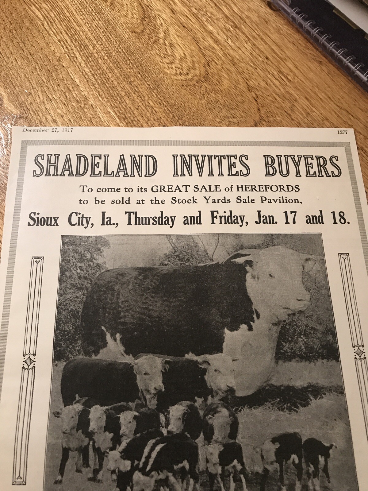 1917 Cattle Livestock Public Sale Poster – Sioux City – Iowa – Cow Advertising