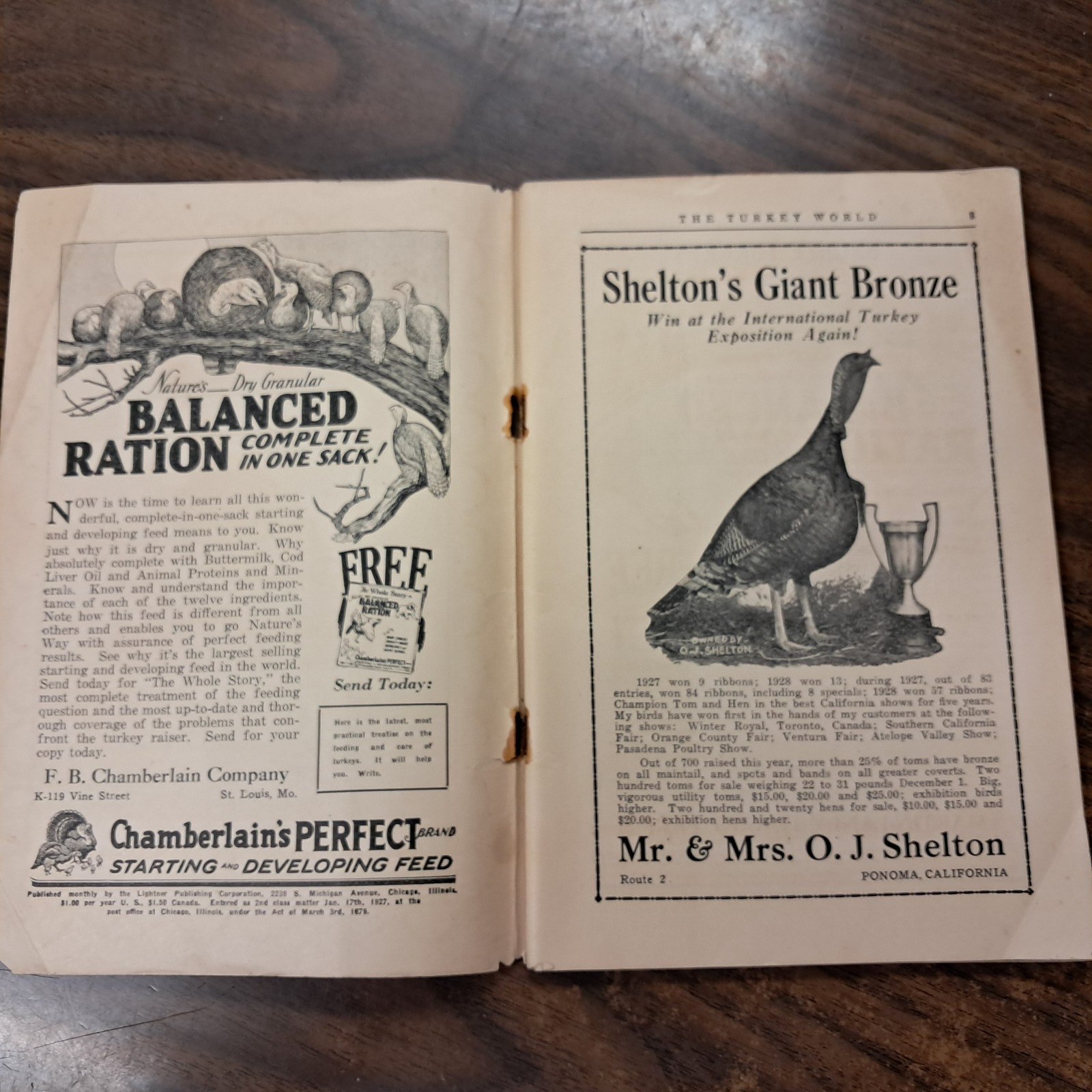 Vintage 1929 Turkey World Show Book & Talking Turkey Beacon Milling Co. N.Y.