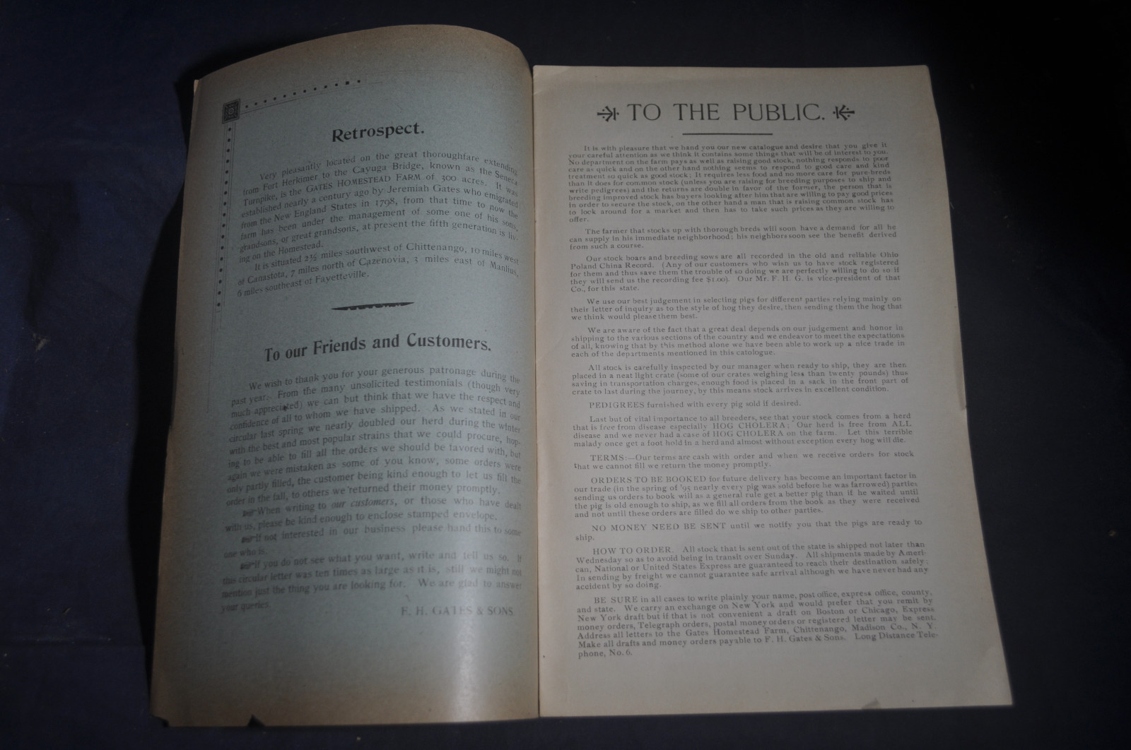 Ca 1896 Gates Homestead Farm Catalog Hogs, Poultry, Ferrets, Chittenango NY