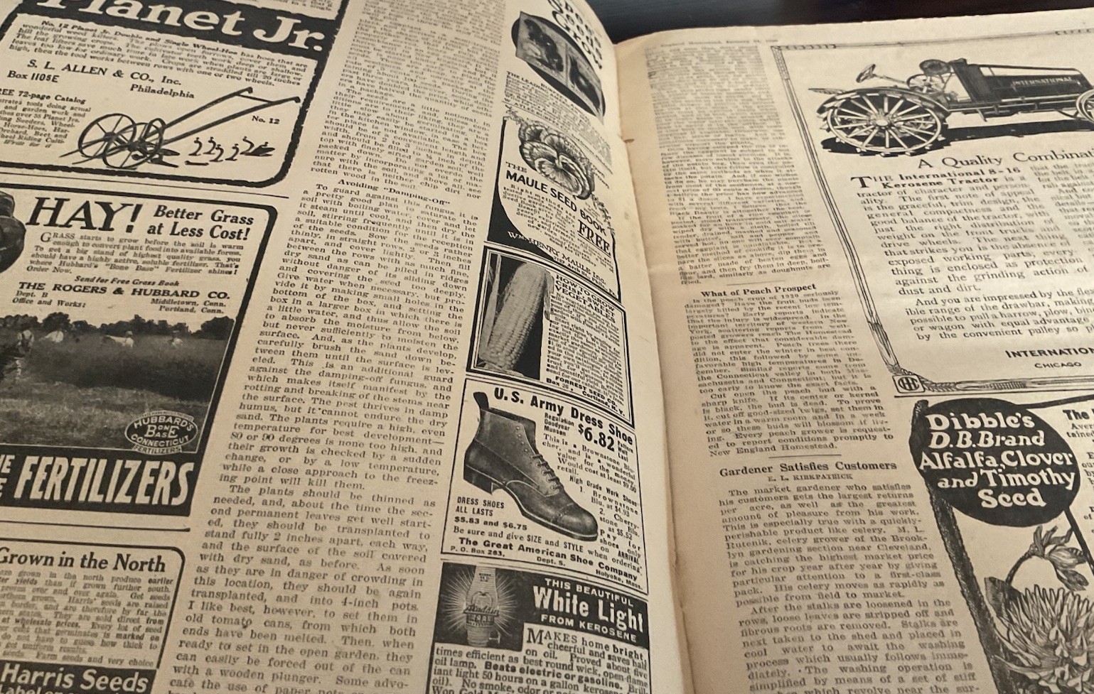 1920 New England Homestead Newspaper Breeding Cow Chart Milk Fairies Ads