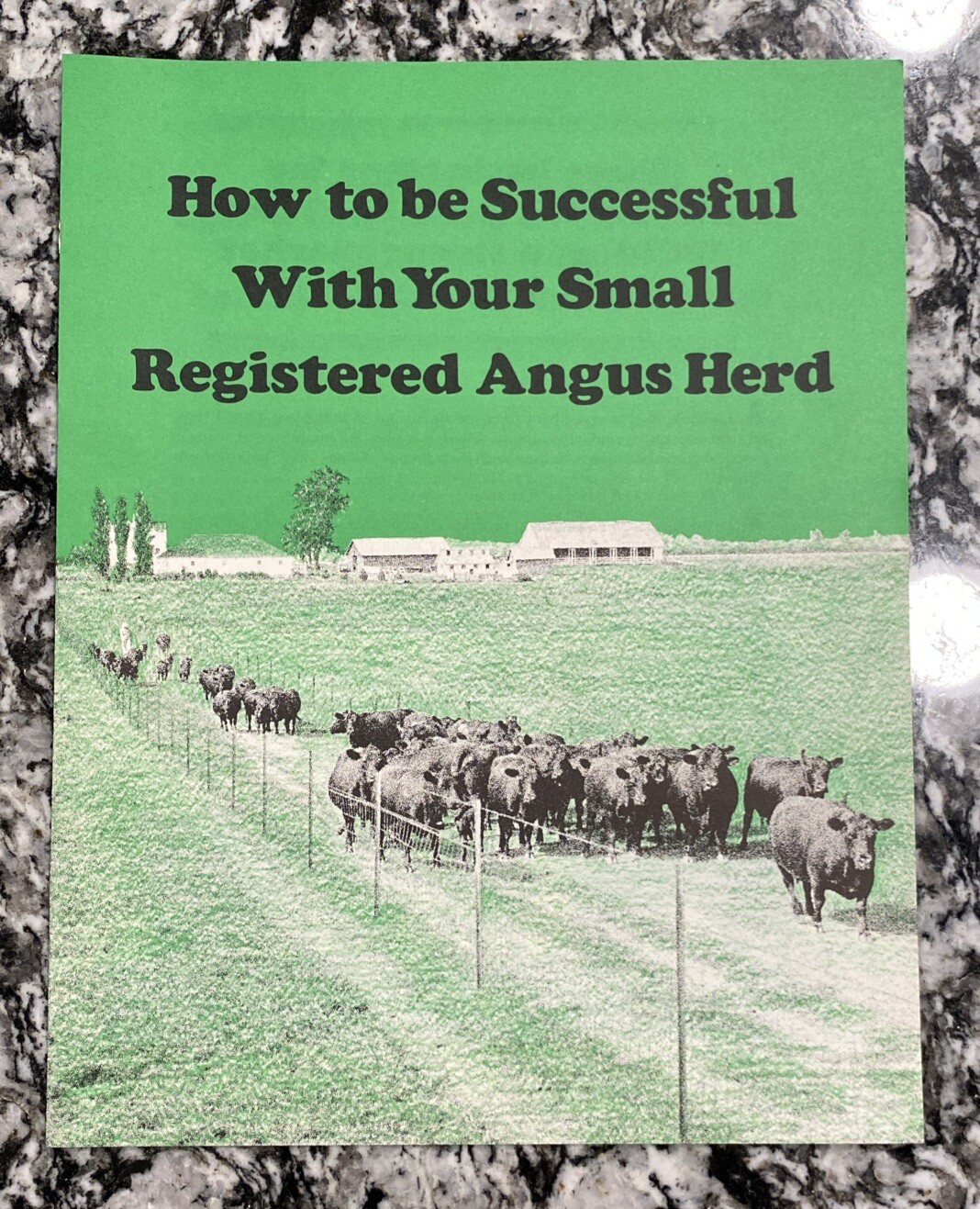 🔴🔵Lot of 4, RARE, Vintage, American Aberdeen Angus Association Pamphlets🔴🔵