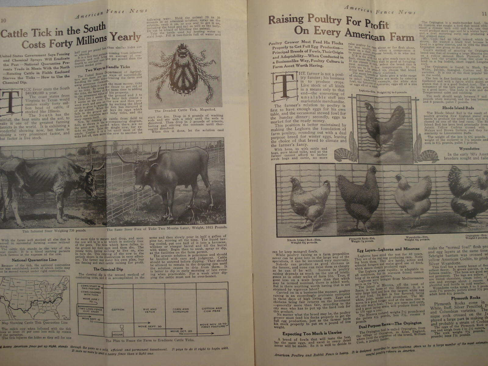 AMERICAN FENCE NEWS JANUARY 1918 MAGAZINE FARM LIVESTOCK