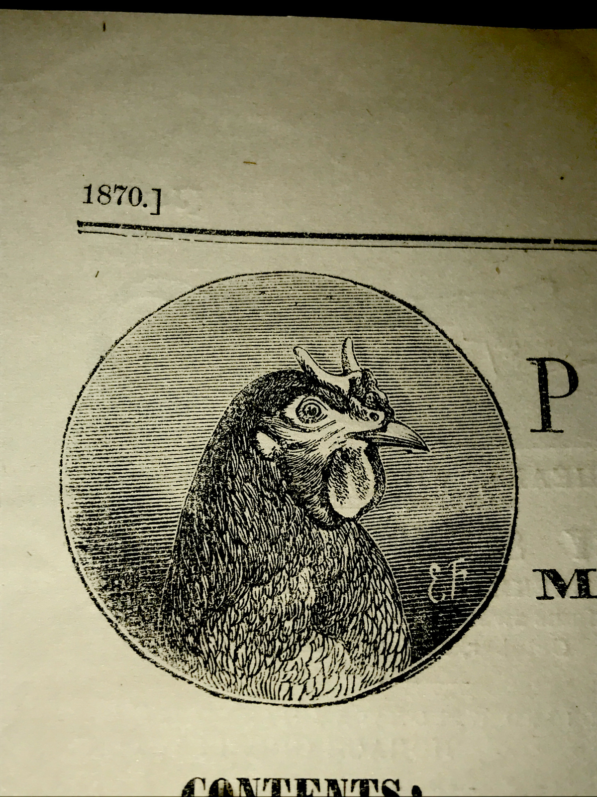 1870 Poultry Chicken Rooster Cock Hen Farm Engraving Advertising