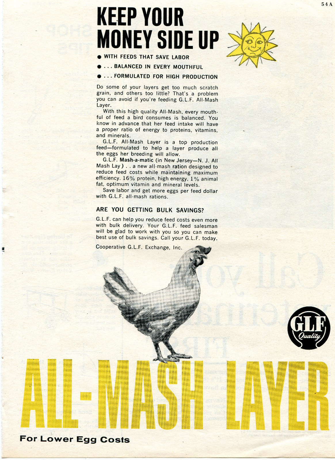 1959 Print Ad of GLF All-Mash Layer for lower egg costs Keep your money side up