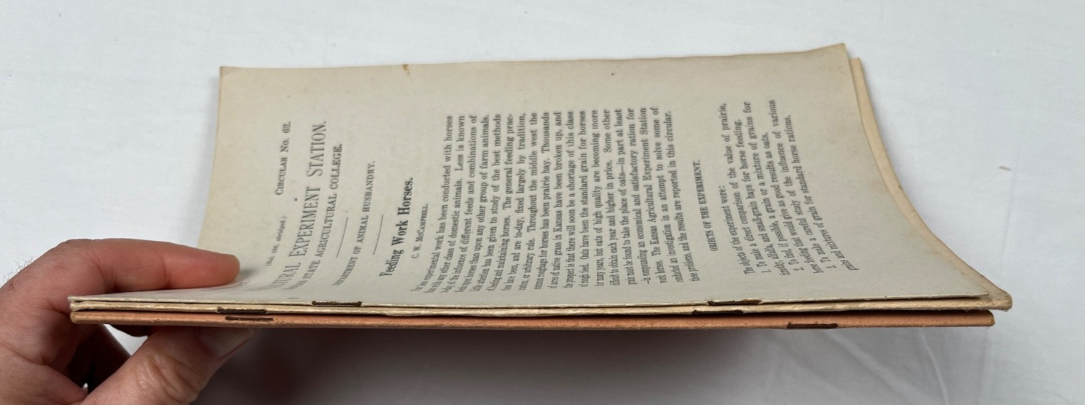 Lot of 3 Vintage USDA Bulletins 1915–1917 – Horse Feeding, Chinch Bug, Extension