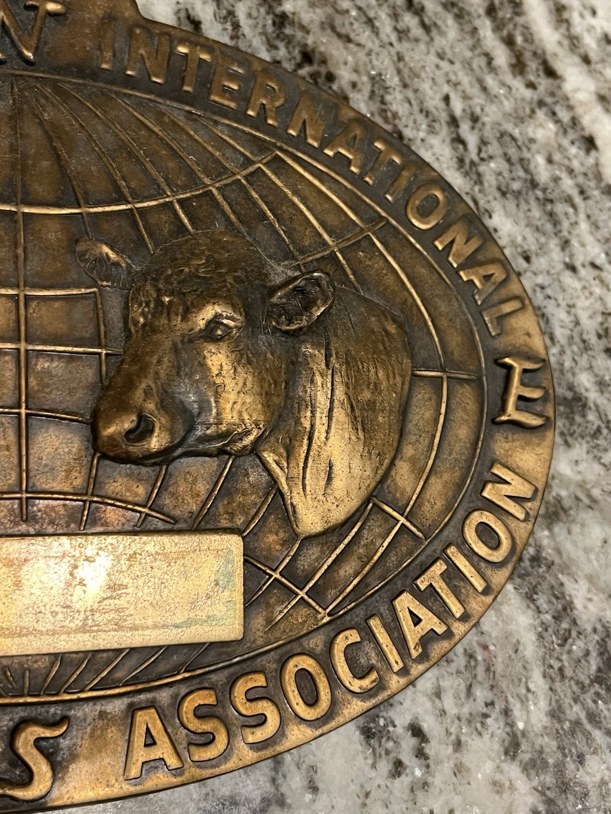Vtg American International Charolais Association Cattle Bronze Sign Plaque Farm