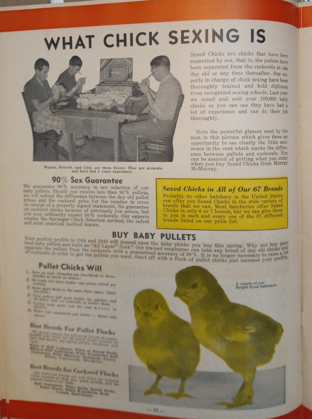 Vtg 1944 Murray McMurray Hatchery Webster City Ia Catalog Order Form Price List