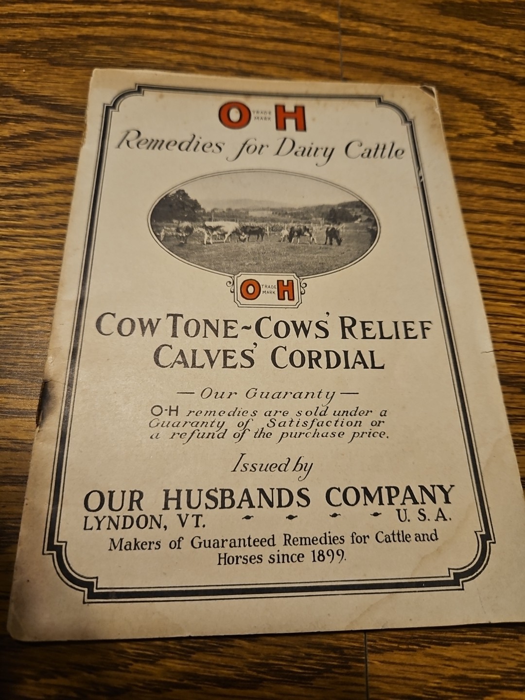Vintage 1924 Our Husbands Company Cow Book, Lyndon, Vermont Cowtone Cows Calves