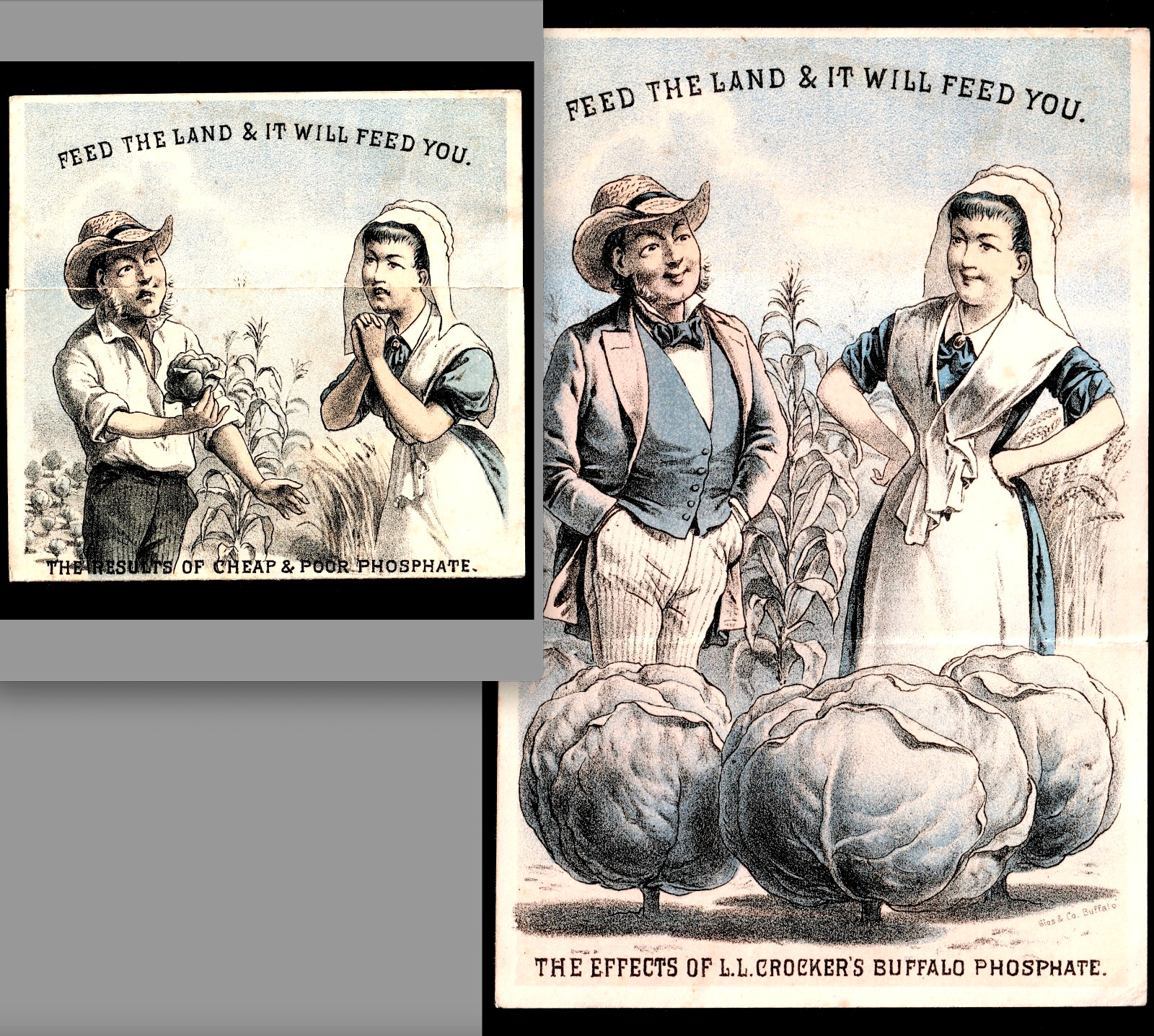 Fantasy Farm Buffalo Bone Fertilizer 1880 Calendar Victorian Trade Card SR.f.fBP