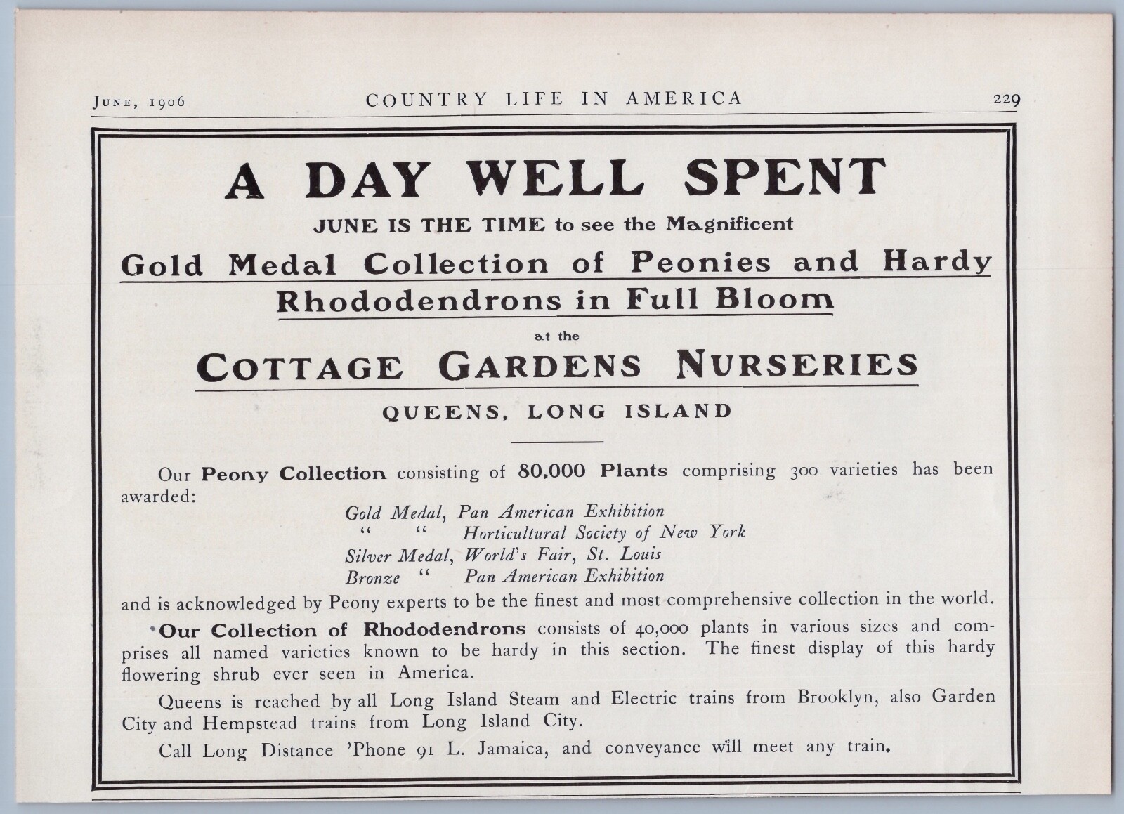 1906 Cottage Gardens Nurseries Vintage Ad Queens Long Island New York Flowers