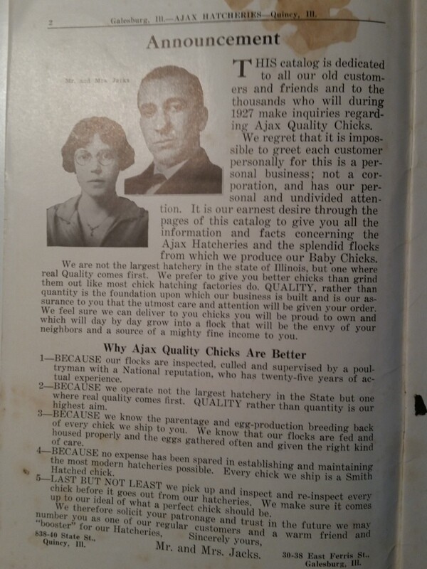 1927 Day-Old Baby Chicks Catalog Ajax Hatcheries Galesburg Quincy Illinois