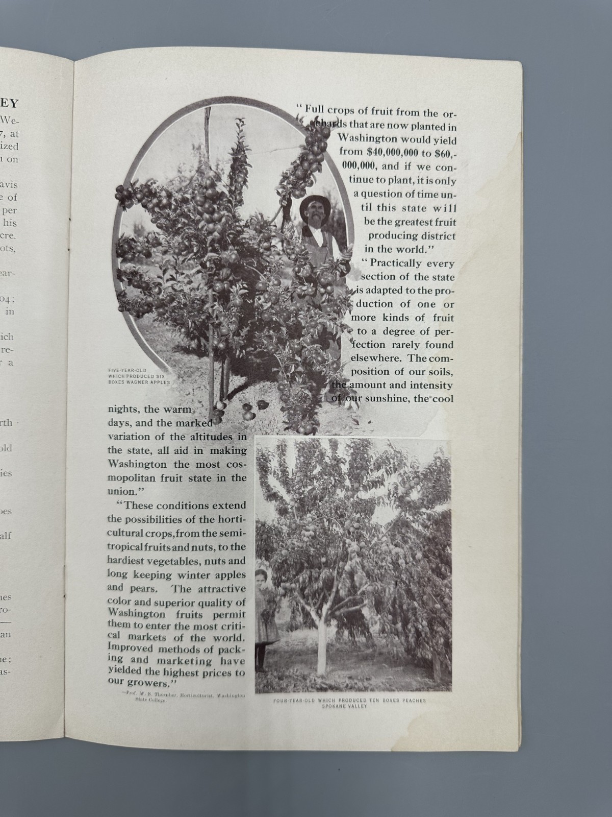 1908 SPOKANE COUNTRY Farming APPLE ORCHARD Fruit HOLT STEAM ENGINE Chamber MAP