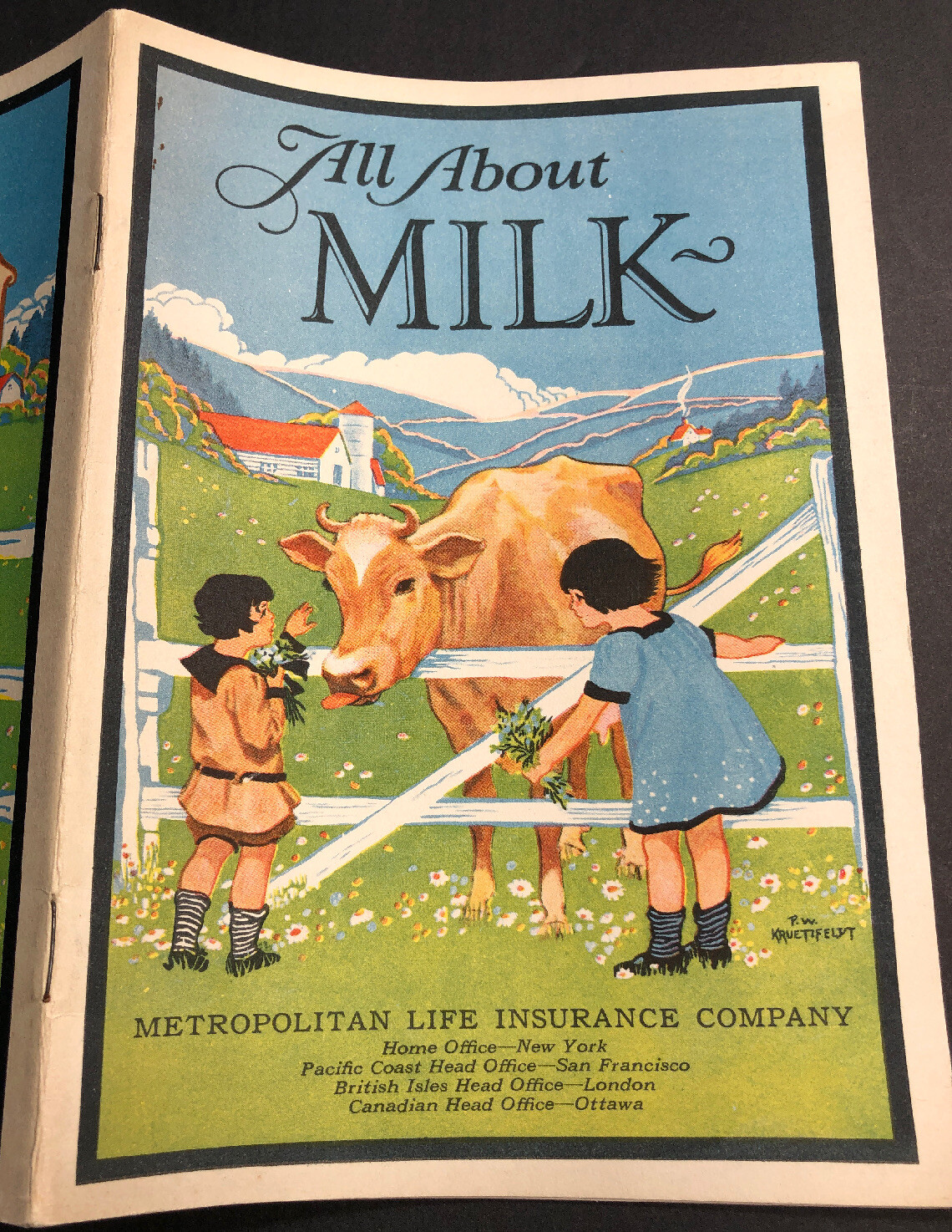 Booklet 1925 All About Milk Cow Farm Kids Agricultural Farming Graphics MINTY