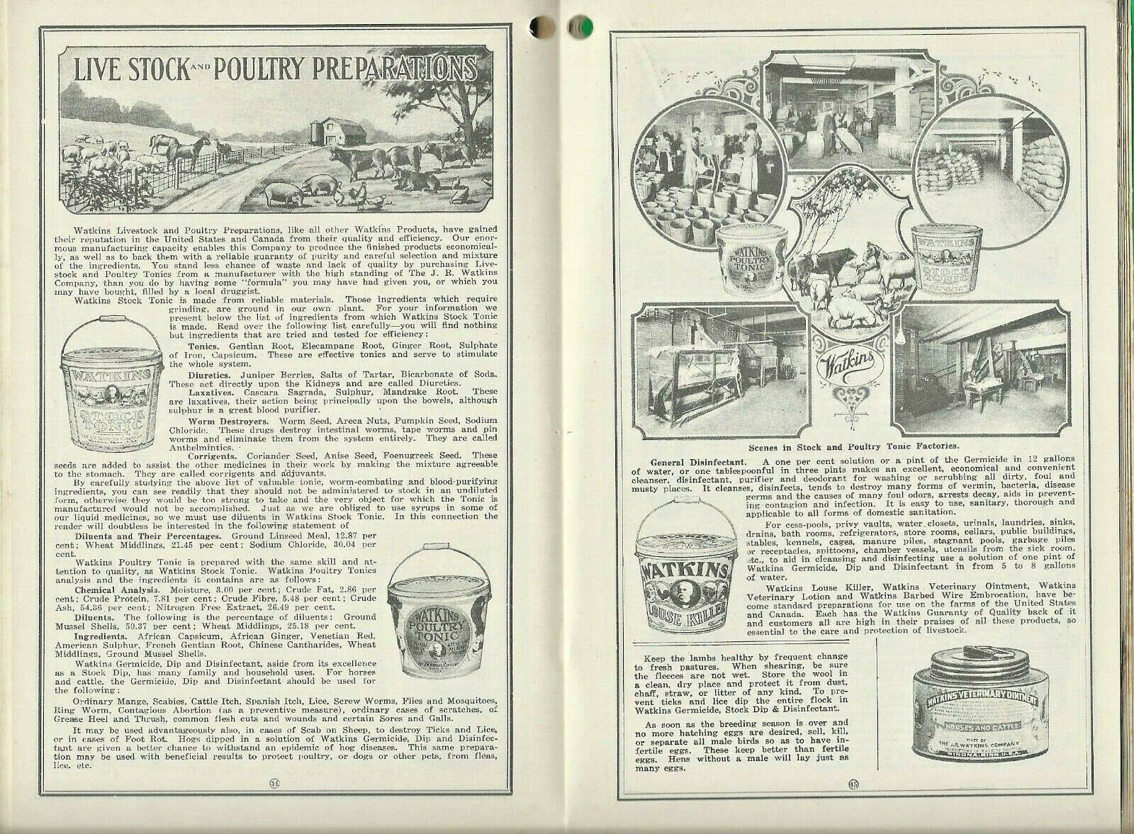 1922 WATKINS ALMANAC and HOME DOCTOR & COOK BOOK ~ MAIL-ORDER ~ WINONA, MN