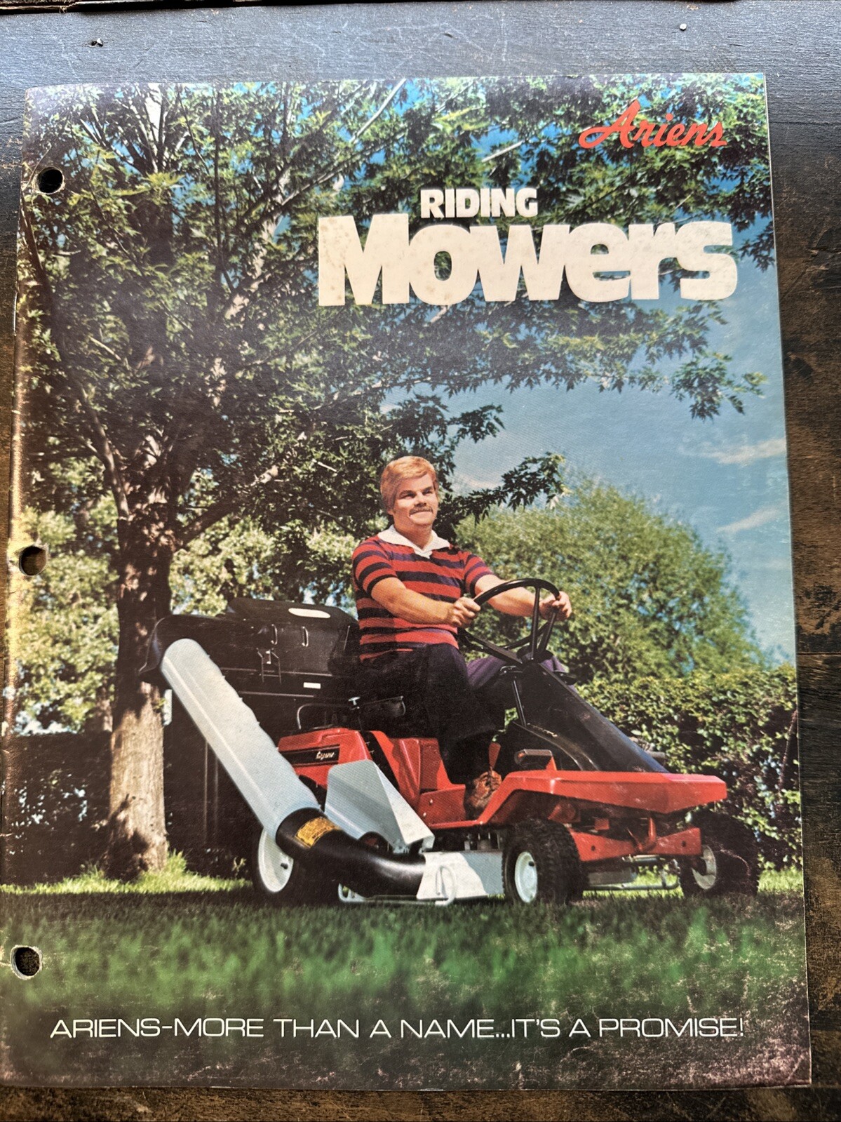 1977 ARIENS Riding Mowers Advertising Catalog Vintage