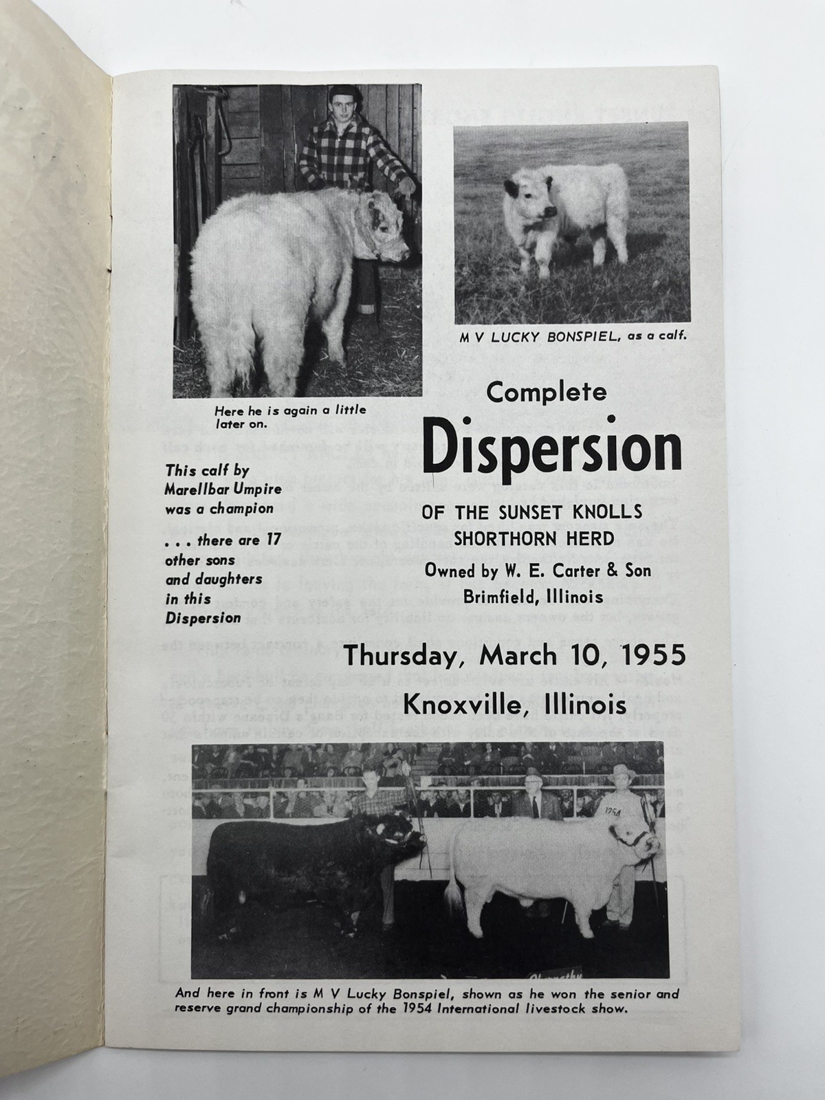 1955 Sunset Knolls Dispersion Sale Flyer Knoxville Illinois Vintage Farm Auction