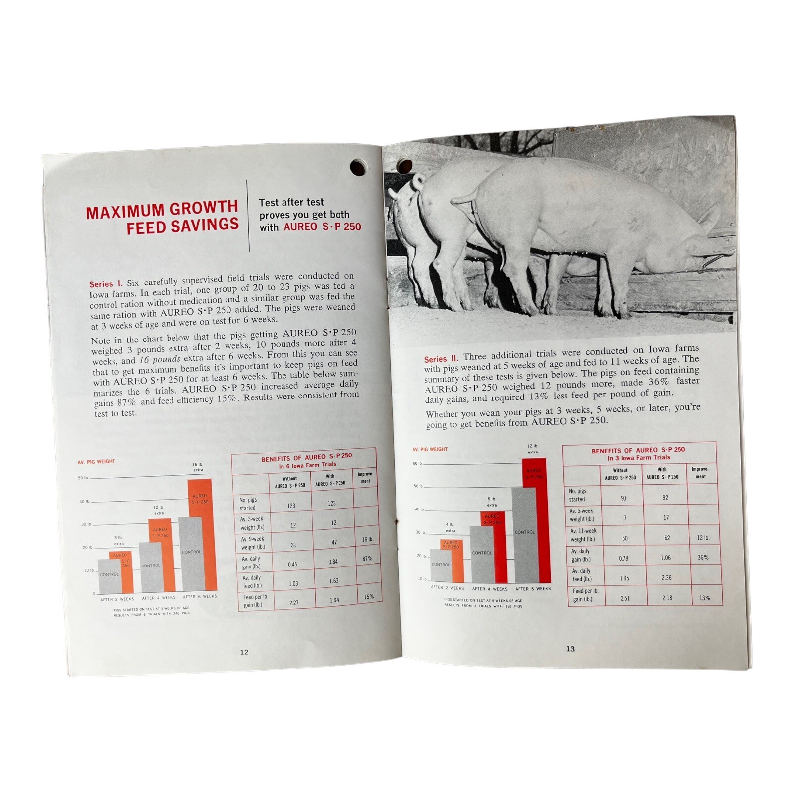 Vintage Aureo SP 250 Feed Pork Profit 16 Page Brochure Print Advert
