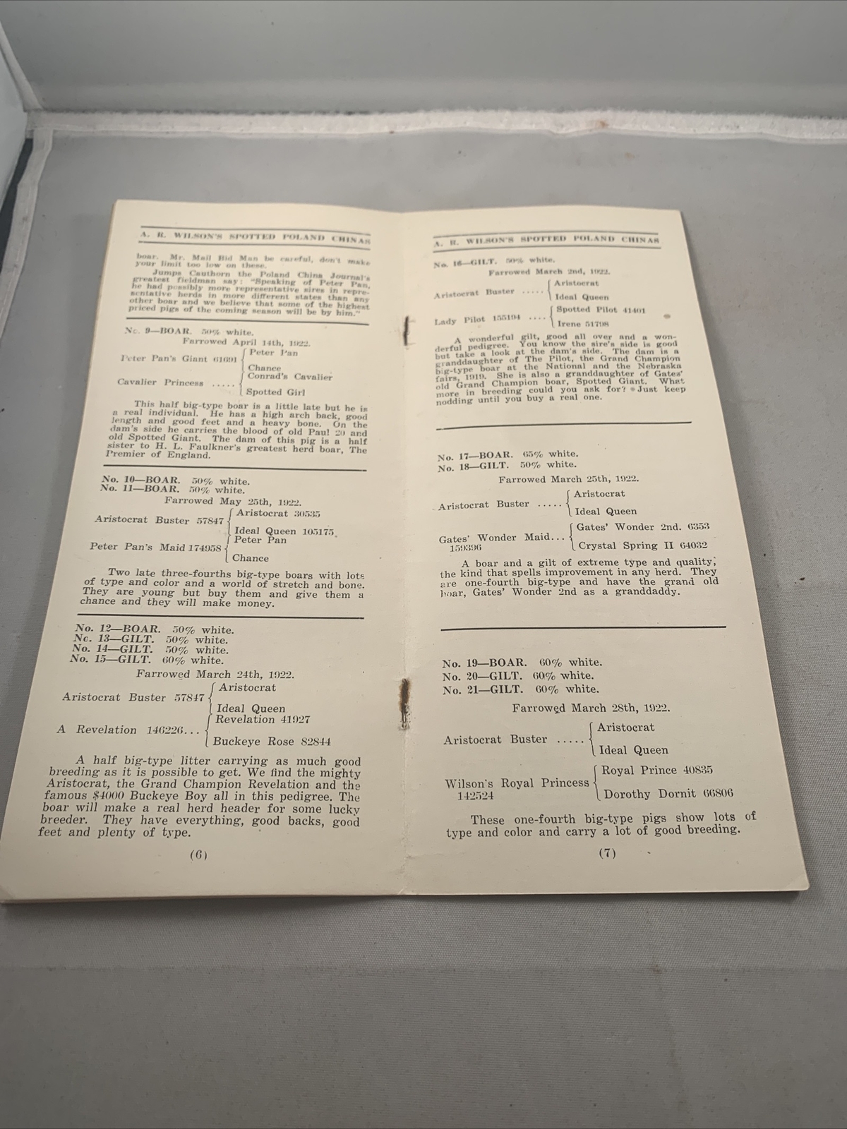 1922 Hog Sale Brochure Wilson’s Prolific Poland China Pig Farm Darlington MO