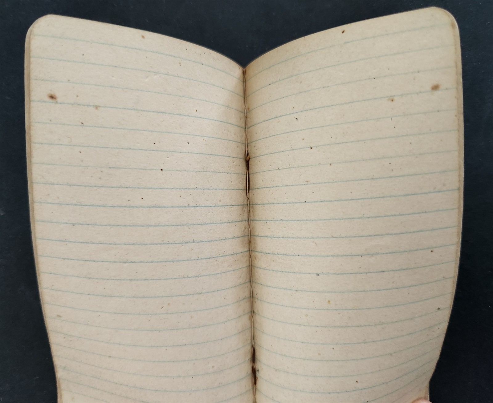 1930s vintage DAVIS & CO LIVESTOCK joseph mo CELLULOID NOTEBOOK