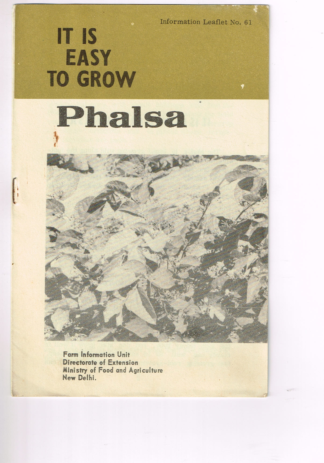 Vintage 1960s Farm Brochure India New Delhi Easy to Grow Phalsa